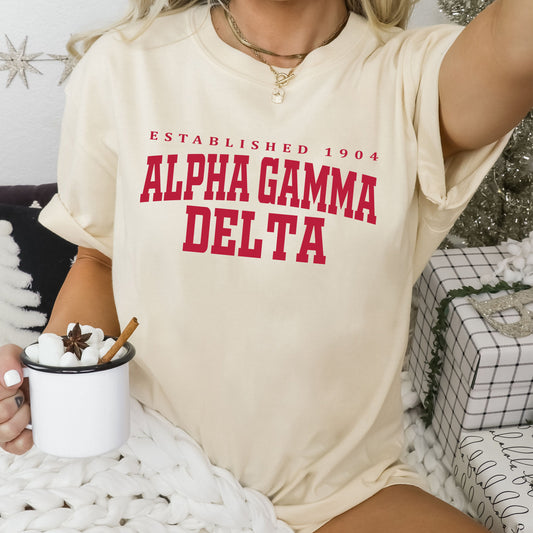 Alpha Gamma Delta Bold Letters Sorority T-shirt _ 35123g