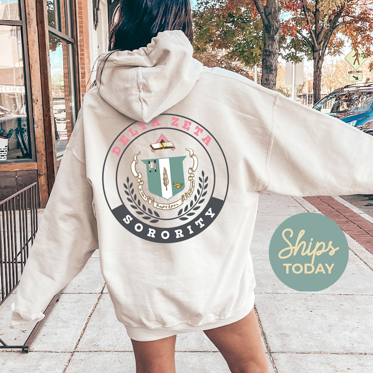 Delta Zeta Crested Tradition Sorority Hoodie _ 32829g