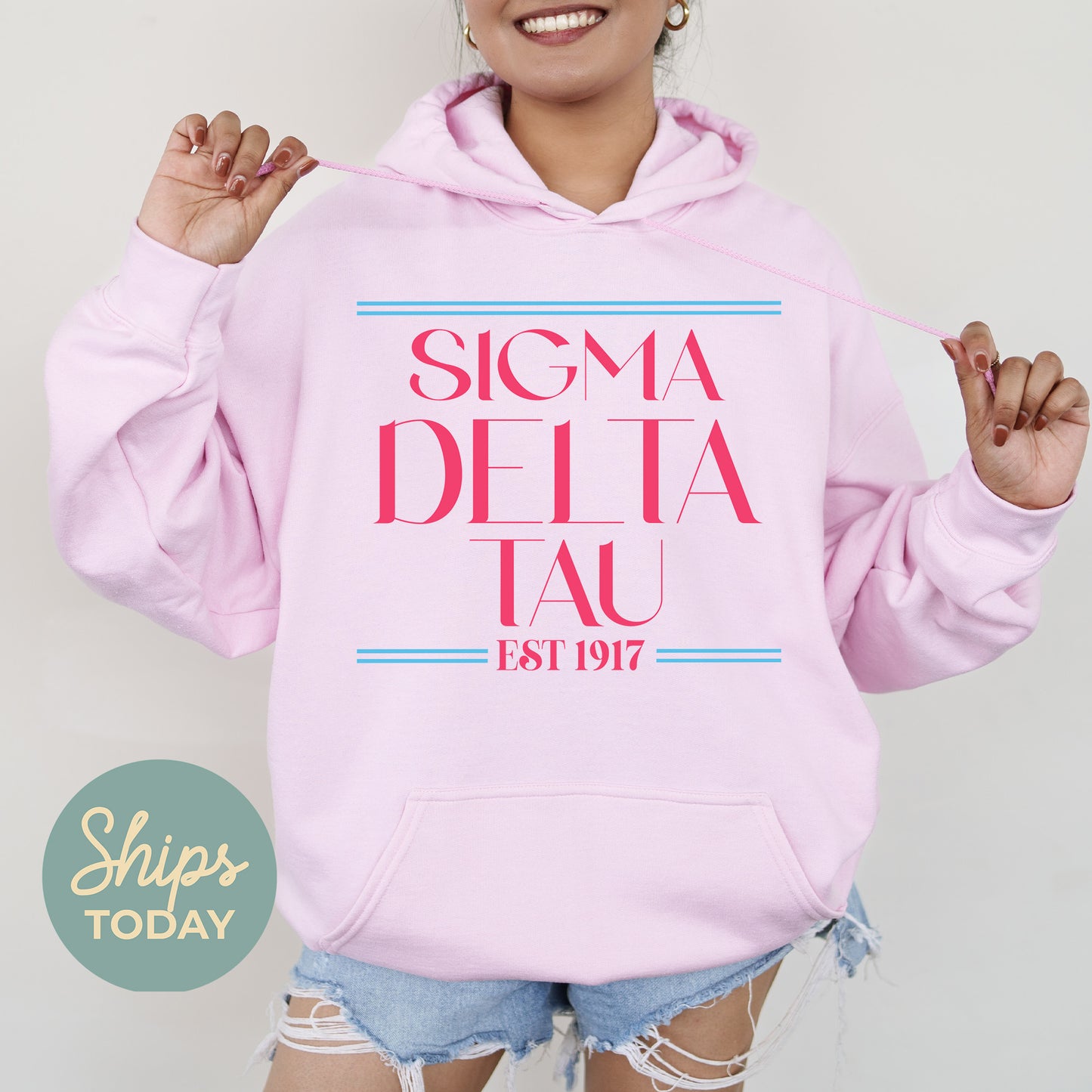 Sigma Delta Tau Greek Harmony Sorority Hoodie  _ 34985g
