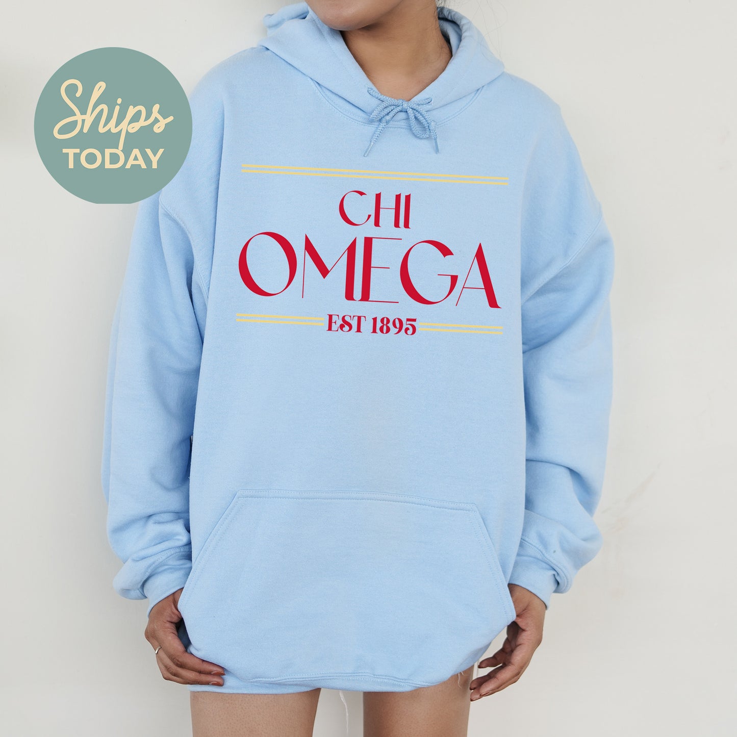 Chi Omega Greek Harmony Sorority Hoodie _ 34973g