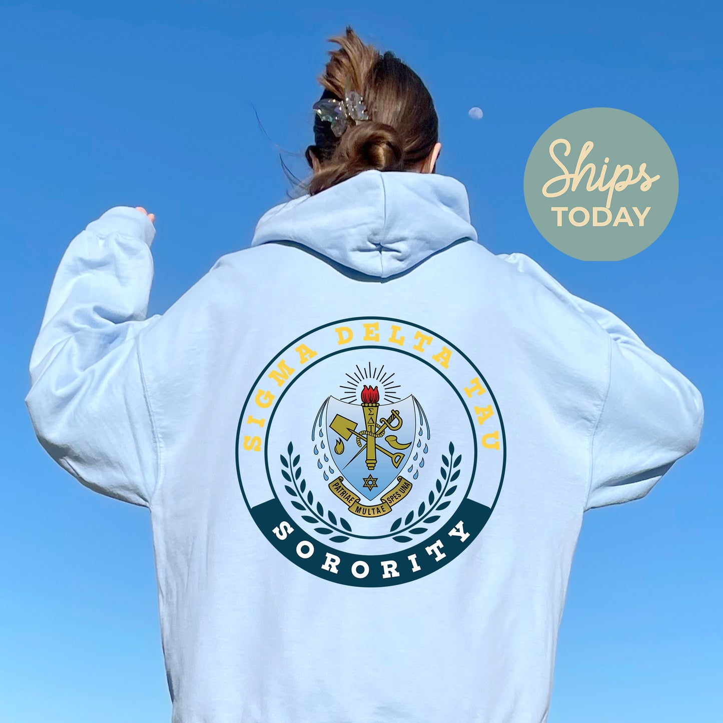 Sigma Delta Tau Crested Tradition Sorority Hoodie _ 32837g