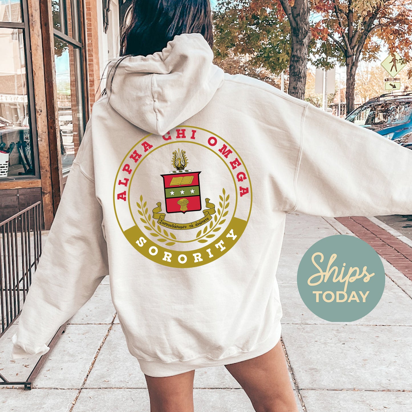 Alpha Chi Omega Crested Tradition Sorority Hoodie _ 32816g