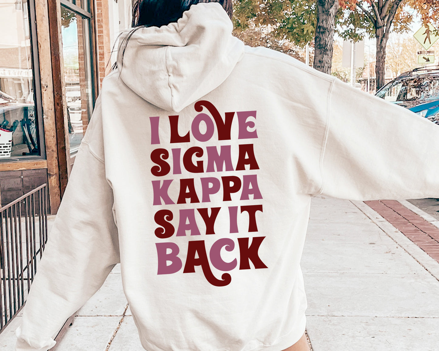 Sigma Kappa Say it Back Sorority Hoodie _ 33394g