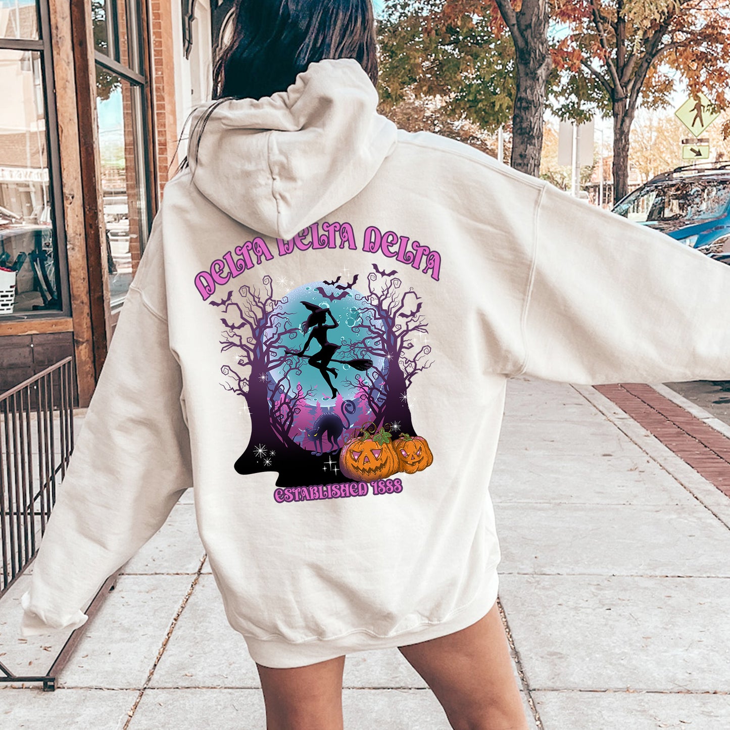 Delta Delta Delta Halloween Witch Sorority Hoodie _ 36236g
