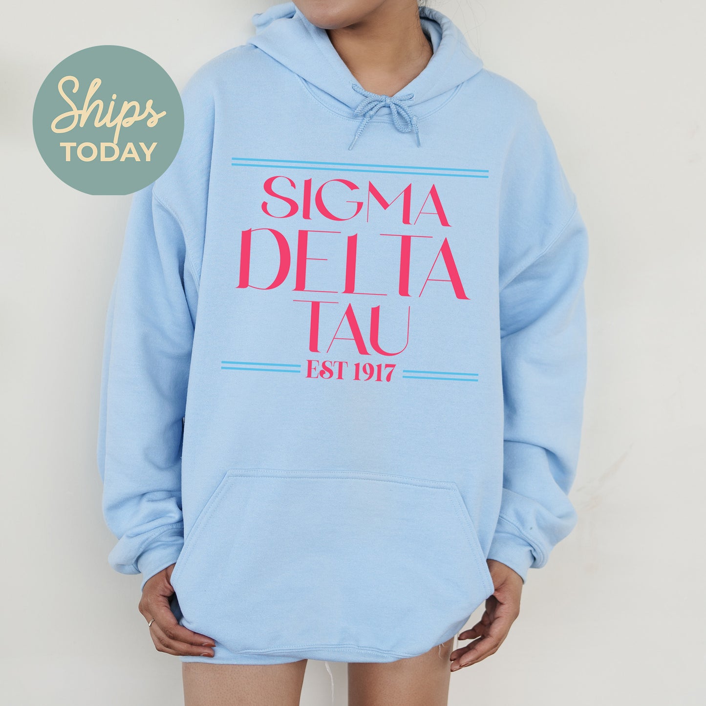 Sigma Delta Tau Greek Harmony Sorority Hoodie  _ 34985g