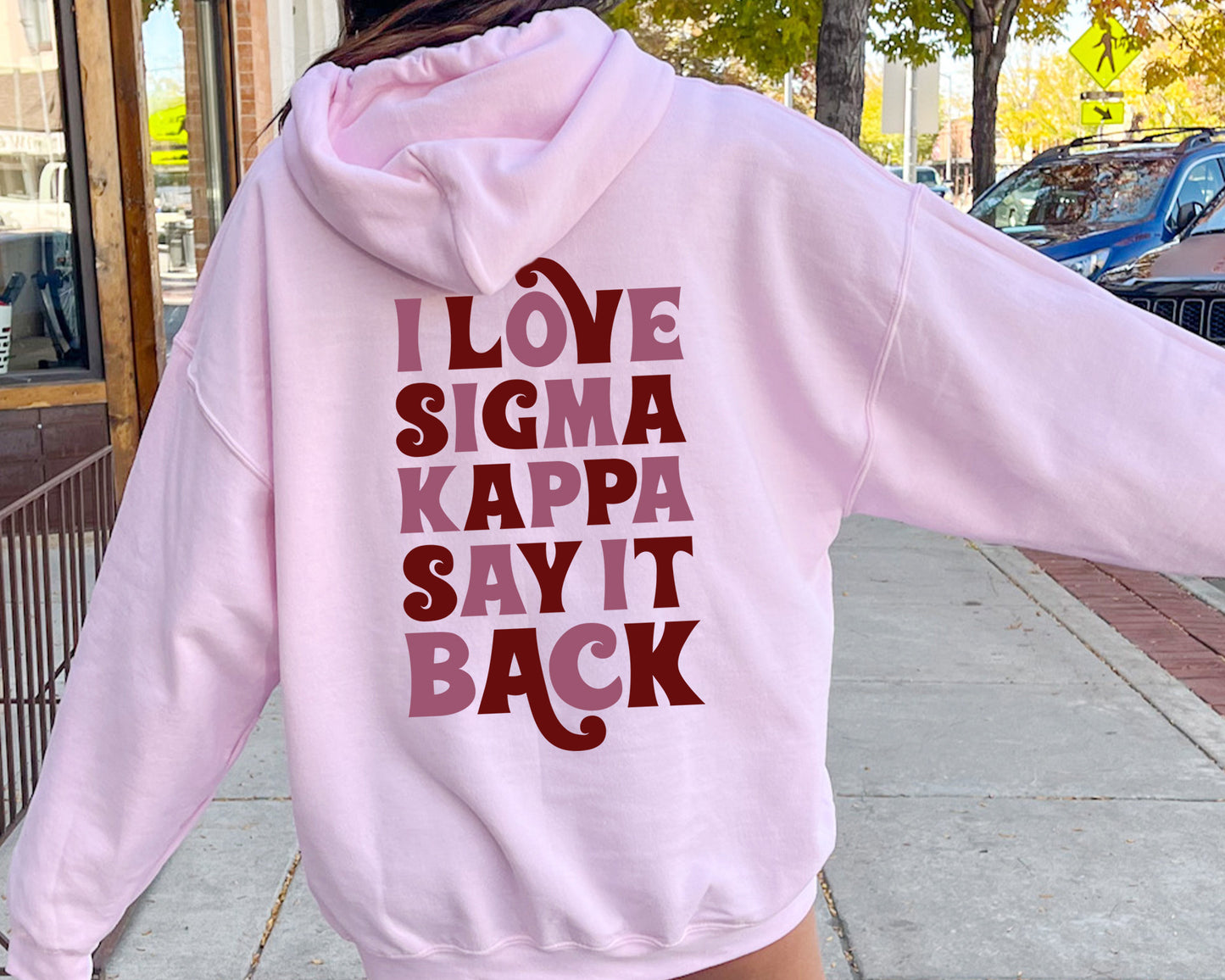 Sigma Kappa Say it Back Sorority Hoodie _ 33394g