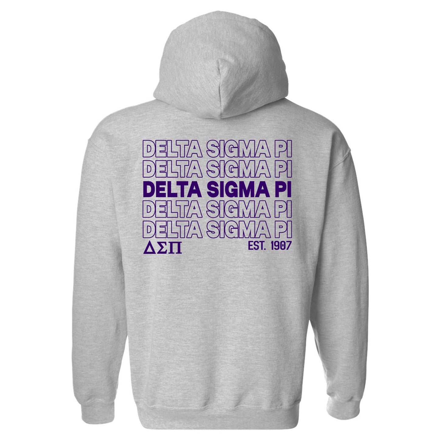Delta Sigma Pi Repeating Letters COED Hoodie _ 35588g