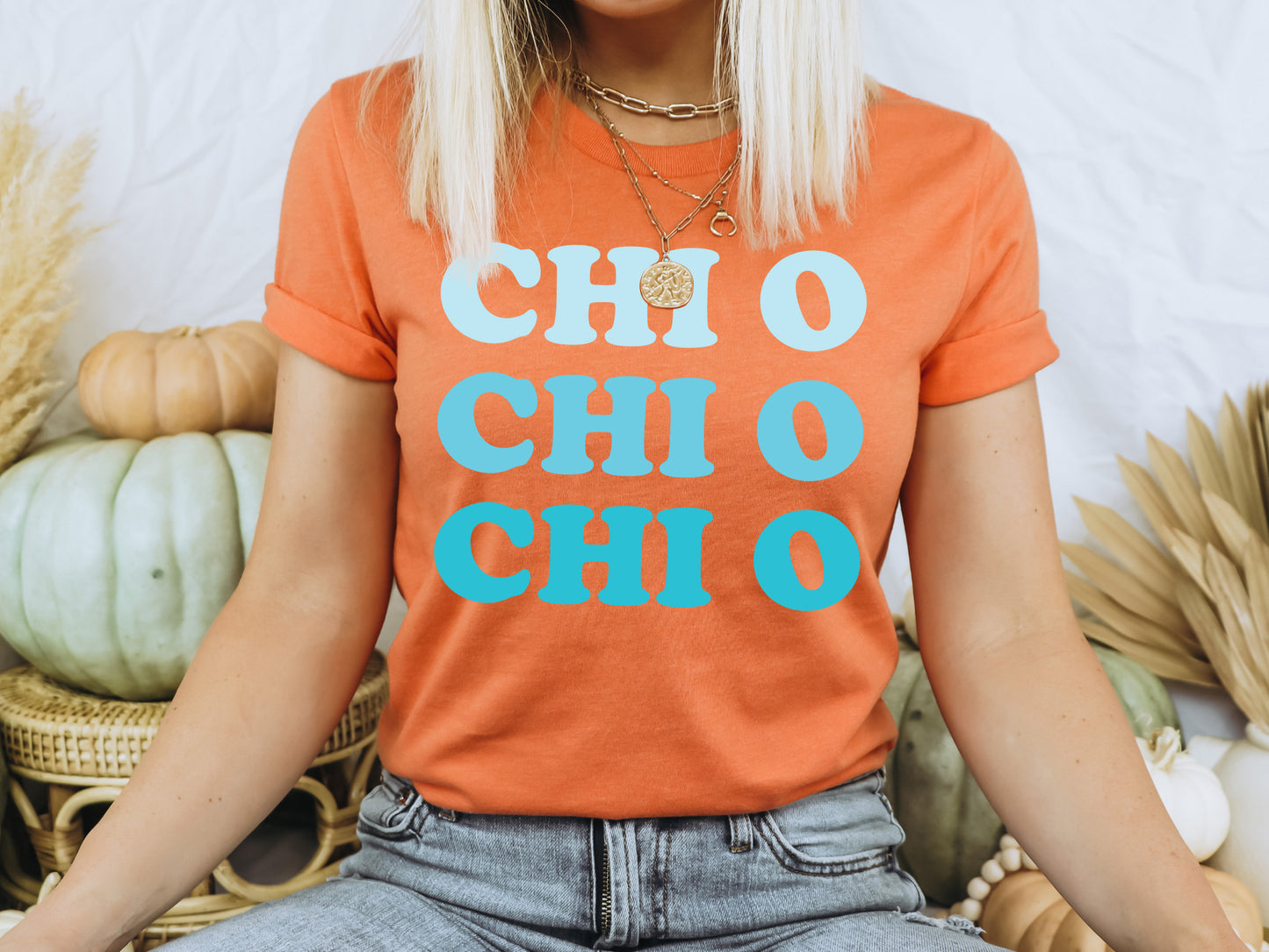 Chi Omega Touch of Blue Sorority T-shirt _ 2586g
