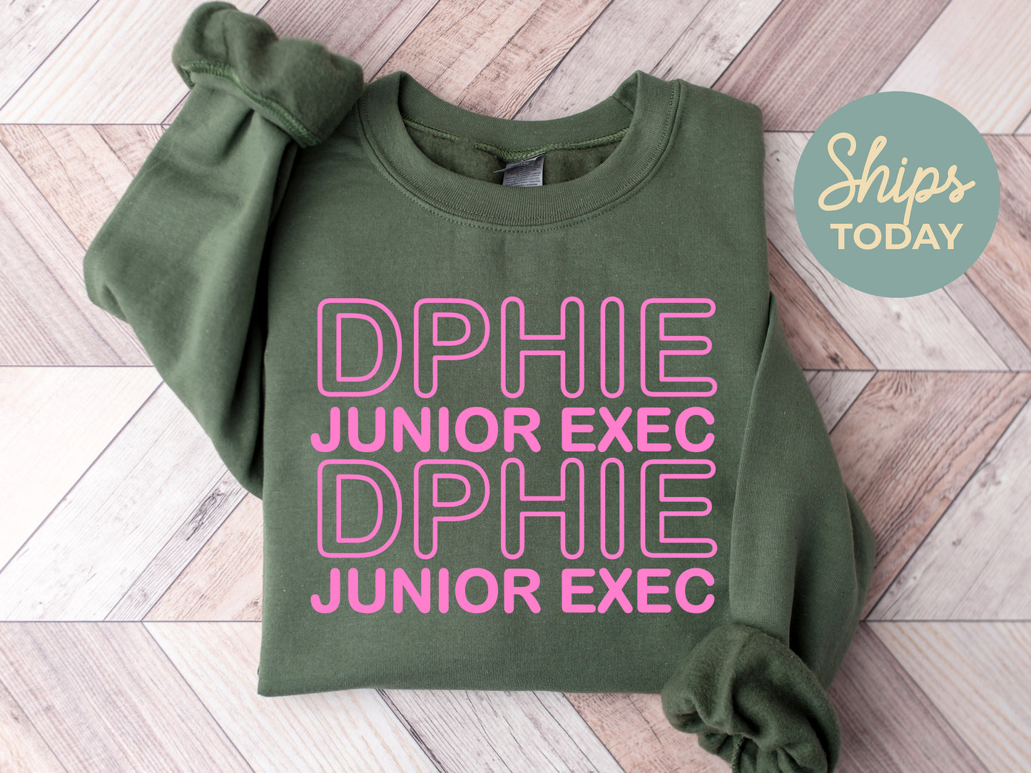 Delta Phi Epsilon Junior Exec Sorority Sweatshirt _ 30938g