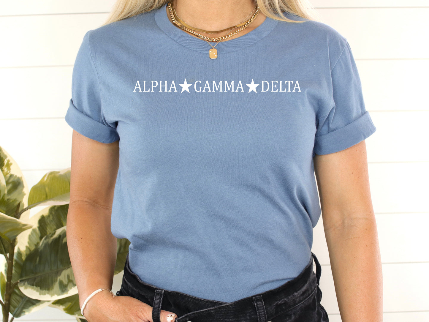 Alpha Gamma Delta White Star Sorority T-shirt _ 2189g
