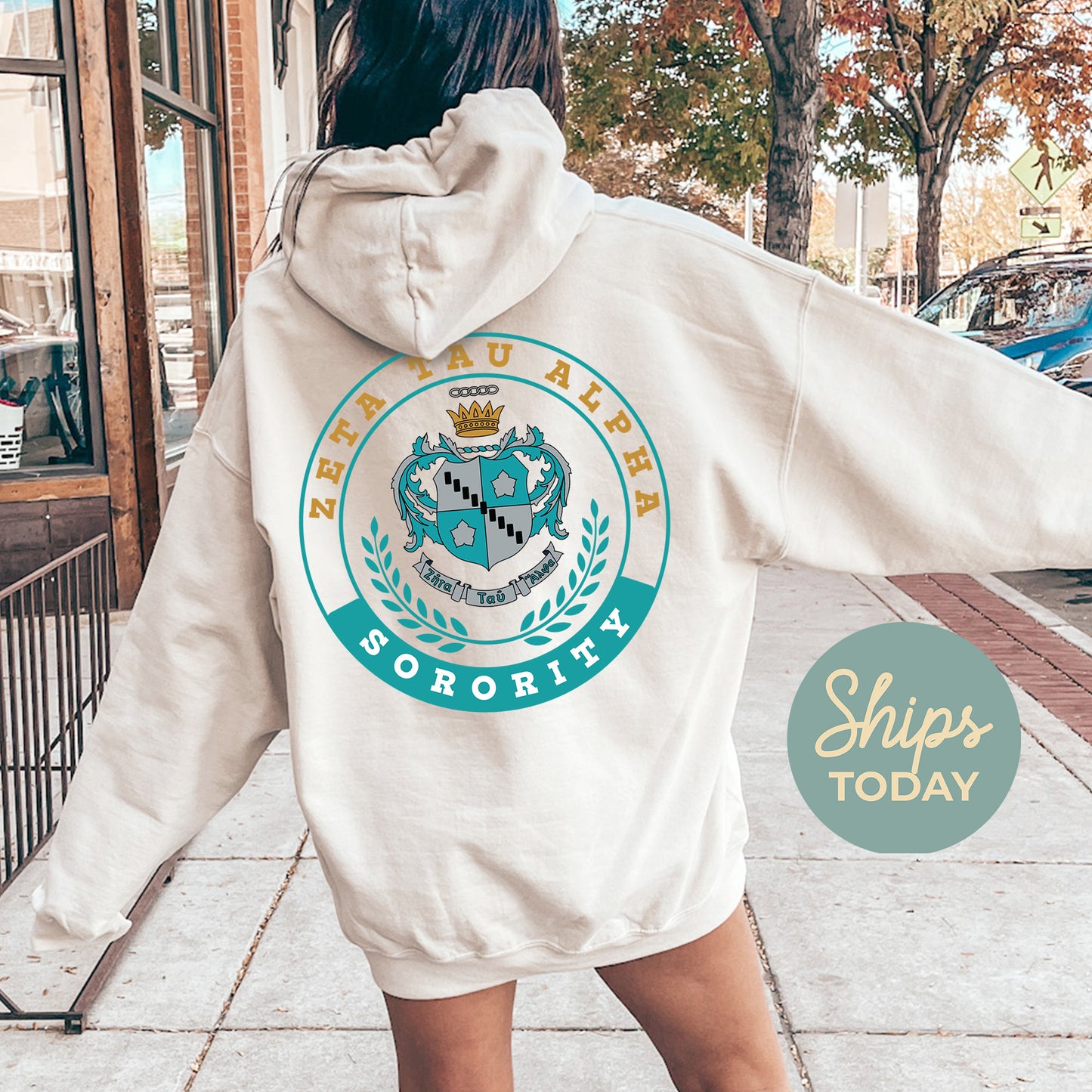 Zeta Tau Alpha Crested Tradition Sorority Hoodie _ 32841g