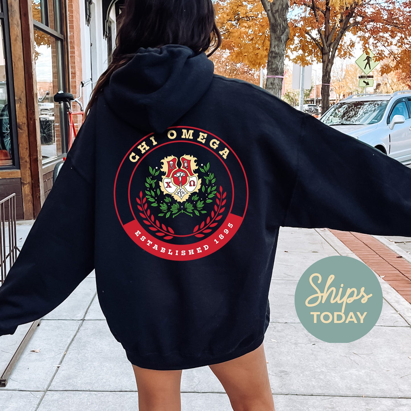 Chi Omega Crested Tradition Sorority Hoodie _ 32825g