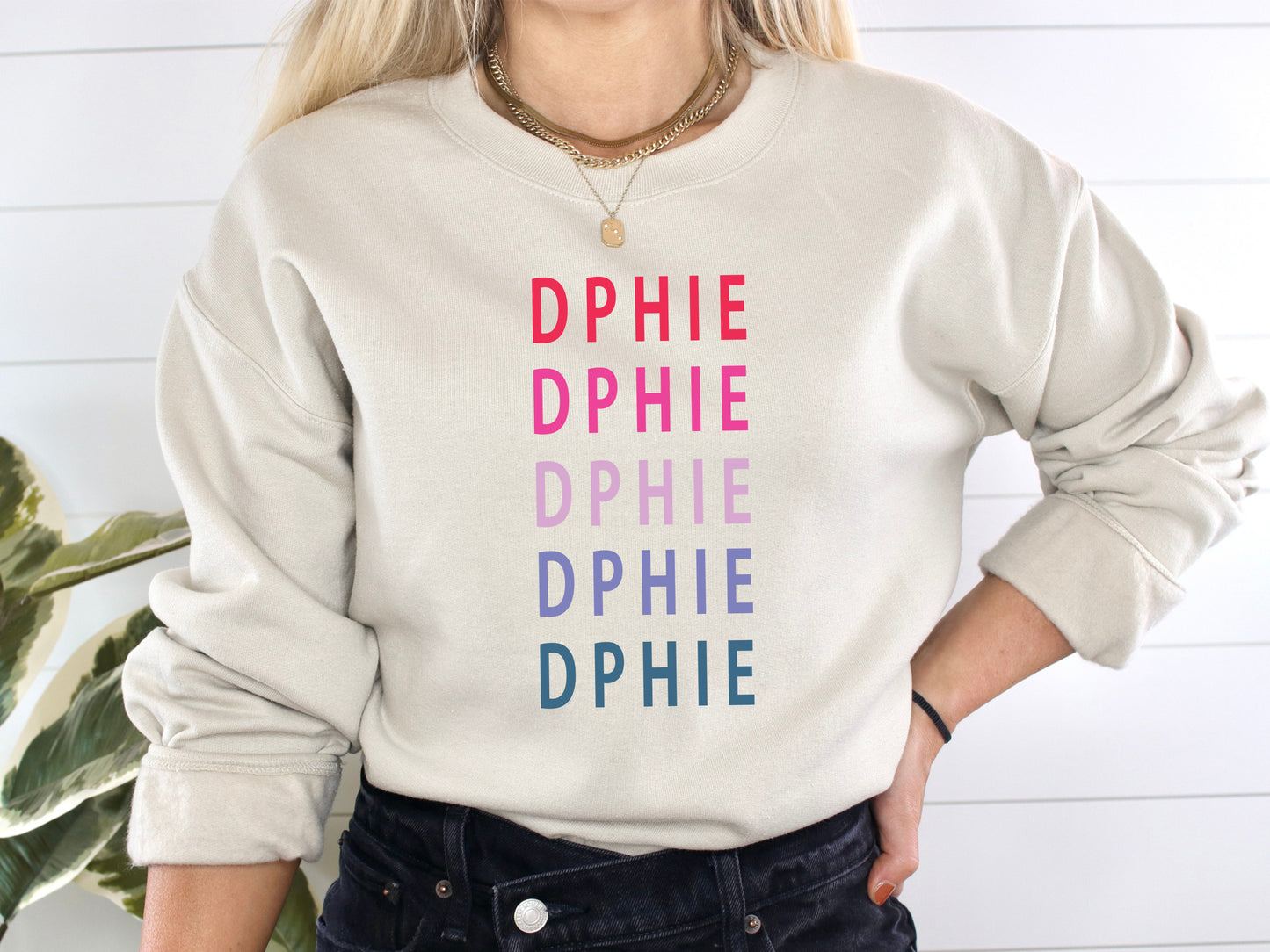 Delta Phi Epsilon Bright and Stacked Sorority Sweatshirt _ 12g
