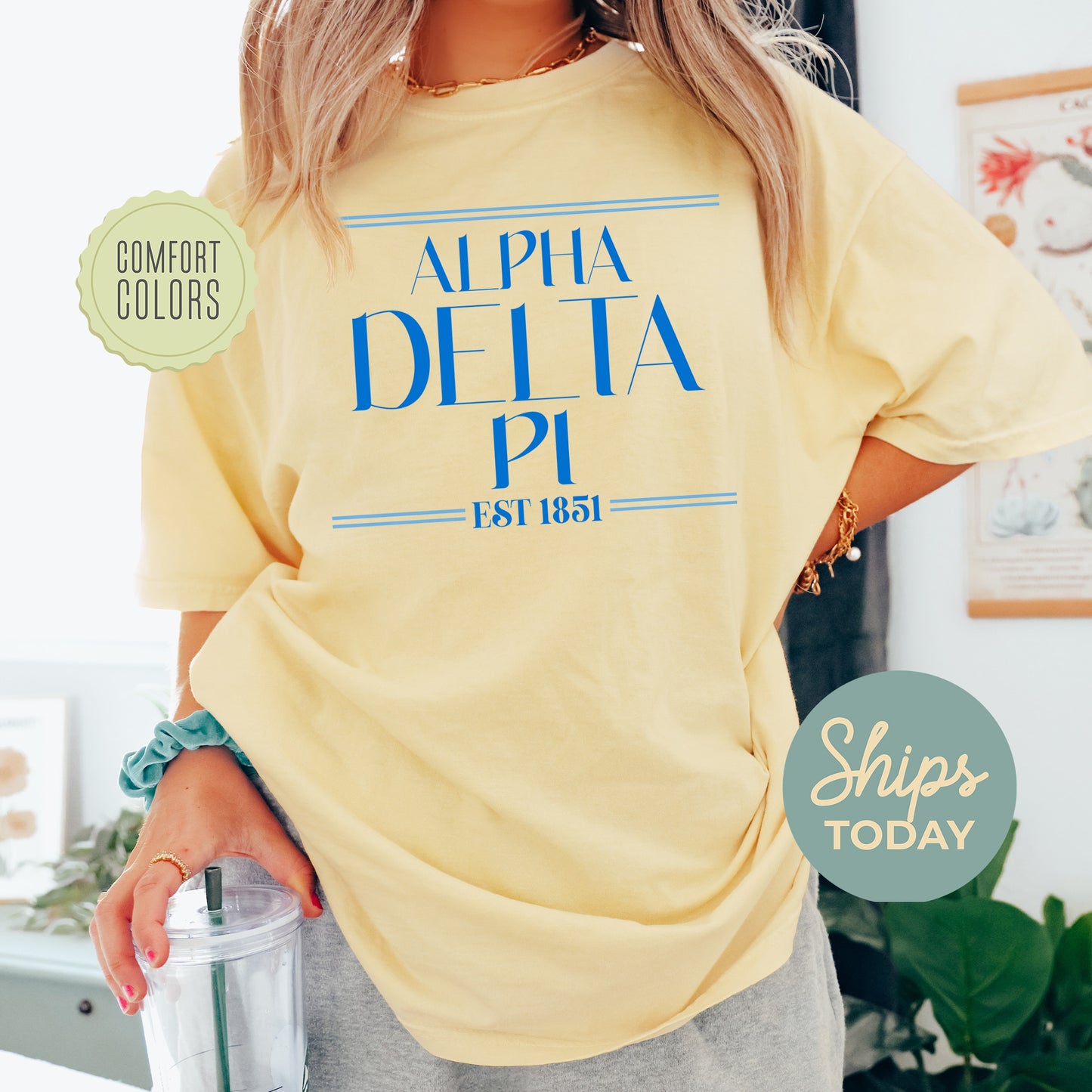 Alpha Delta Pi Greek Harmony Comfort Colors Sorority T-shirt _ 34965g