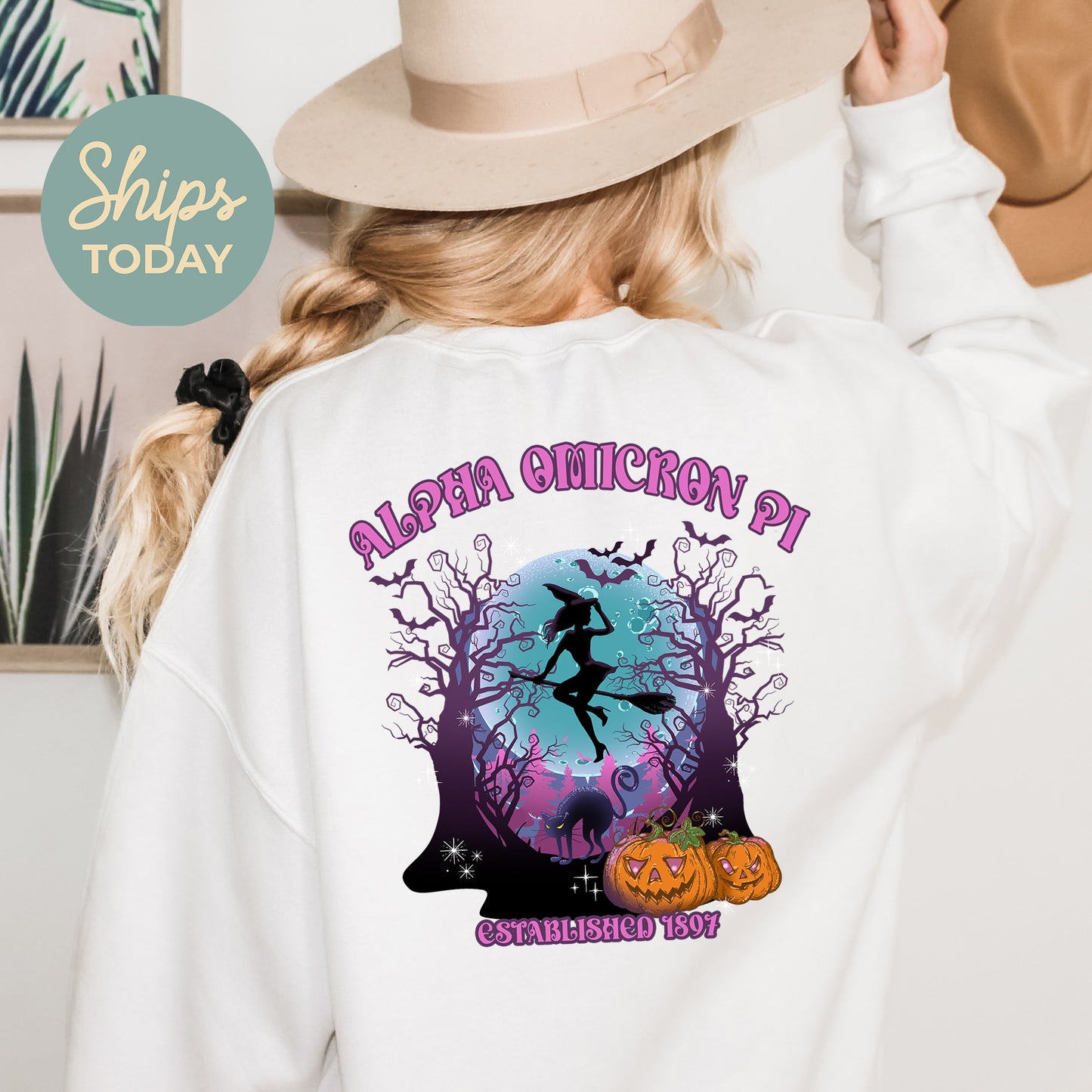 Alpha Omicron Pi Halloween Witch Sorority Sweatshirt _ 36230g