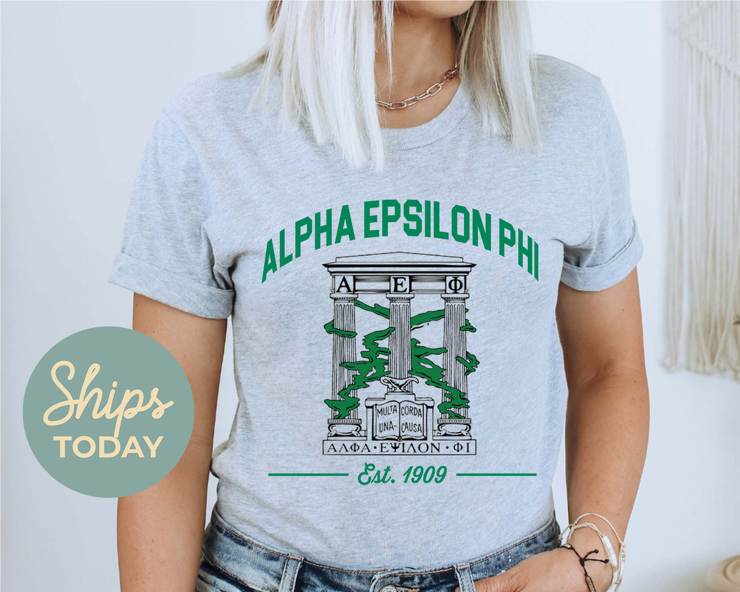 Alpha Epsilon Phi Loyalty Crest Sorority T-shirt _ 4422g
