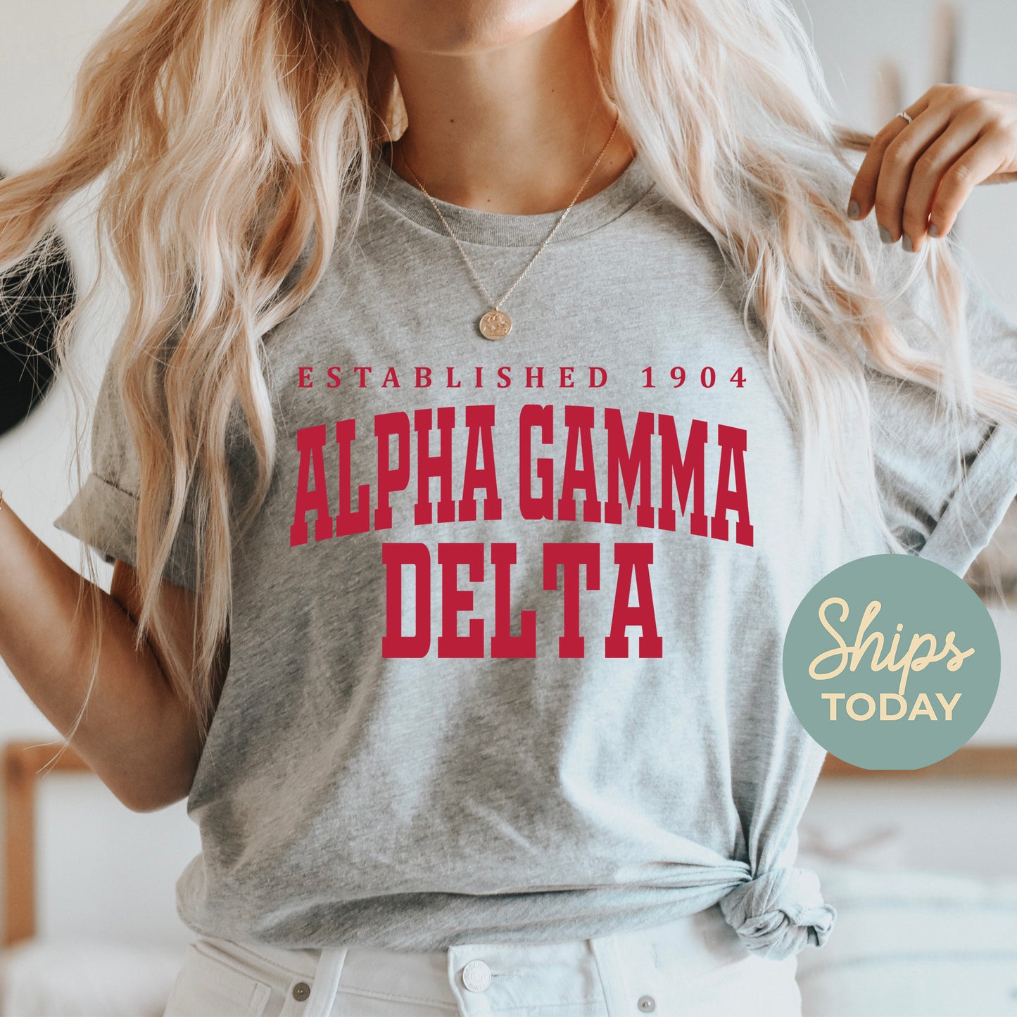 Alpha Gamma Delta Bold Letters Sorority T-shirt _ 35123g