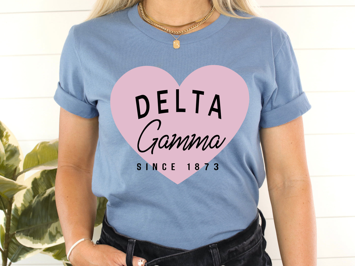 Delta Gamma Pretty in Pink Sorority T-shirt _ 451g