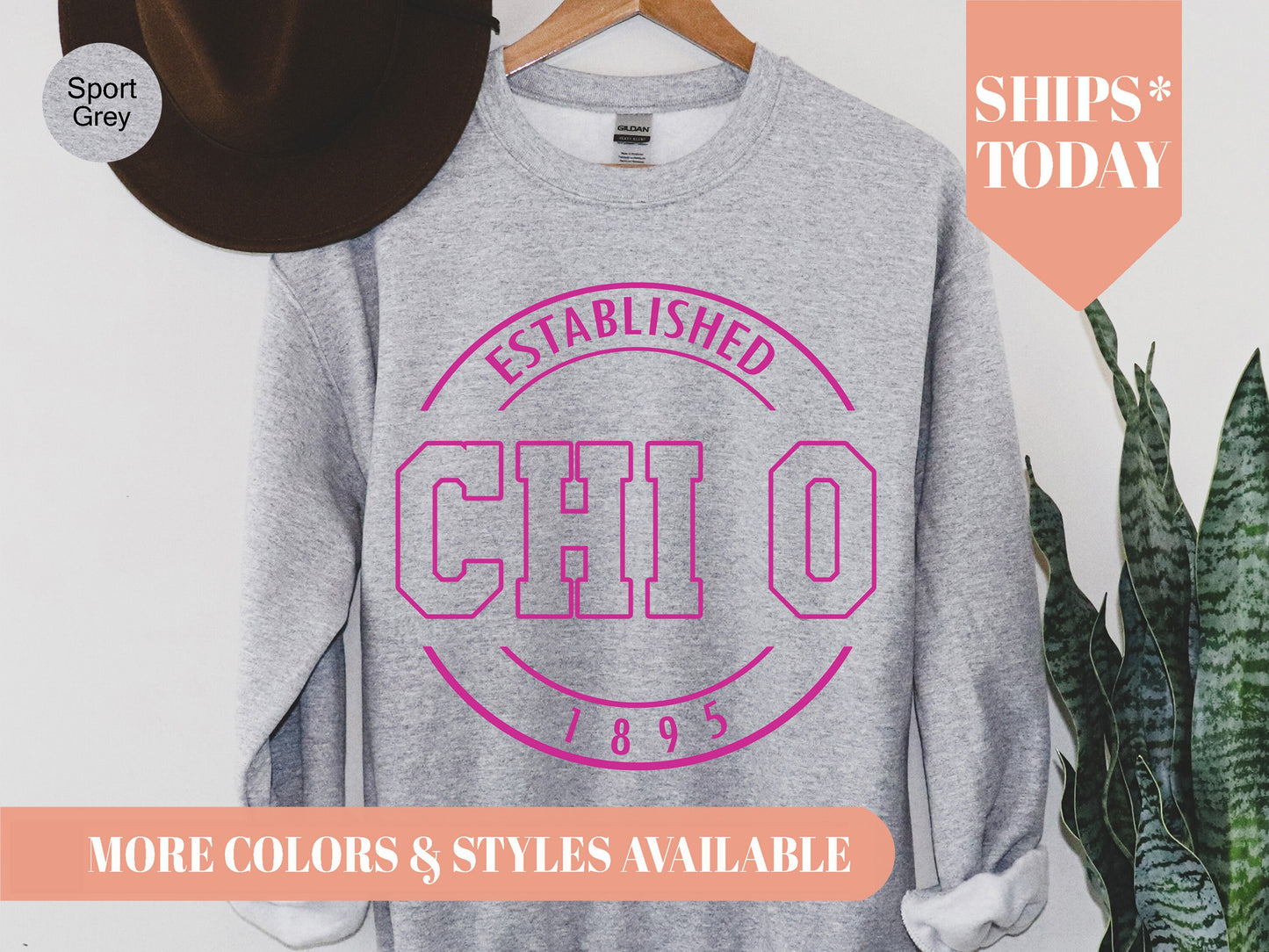Chi Omega Pink Stamp Sorority Sweatshirt _ 60g