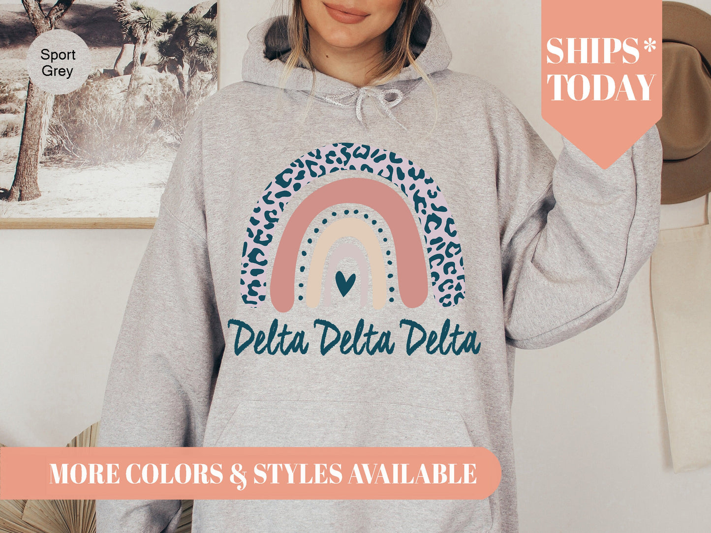Delta Delta Delta Greek Rainbow Sorority Hoodie _ 2743g