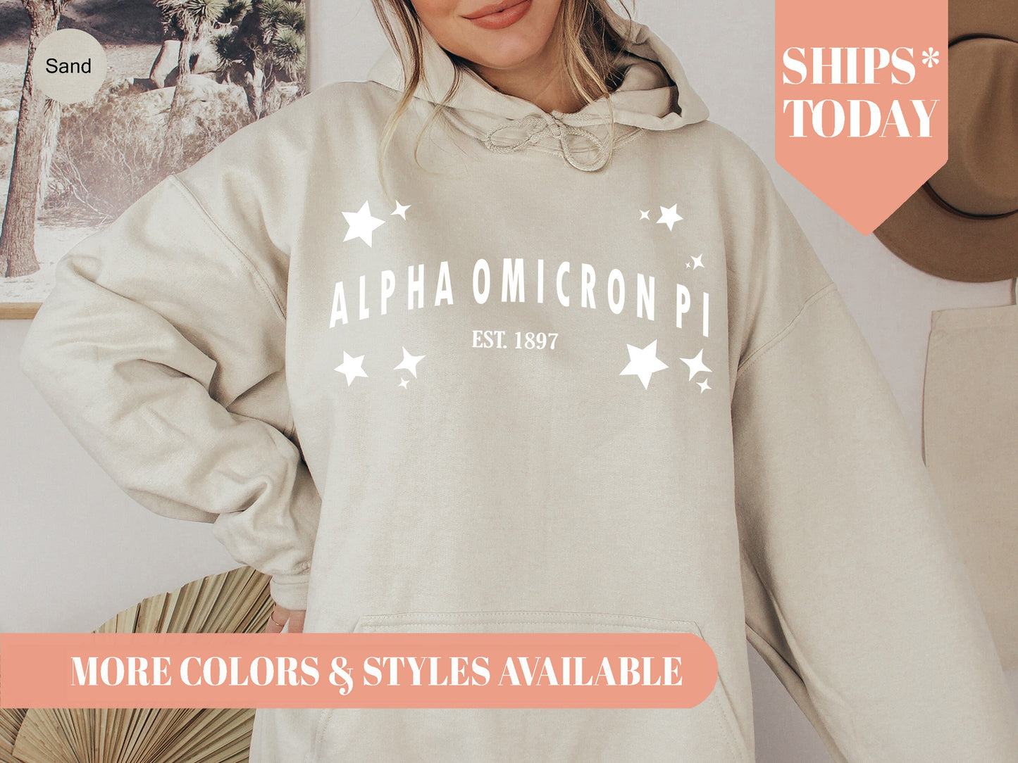 Alpha Omicron Pi Arched Star Sorority Sweatshirt _ 2268g