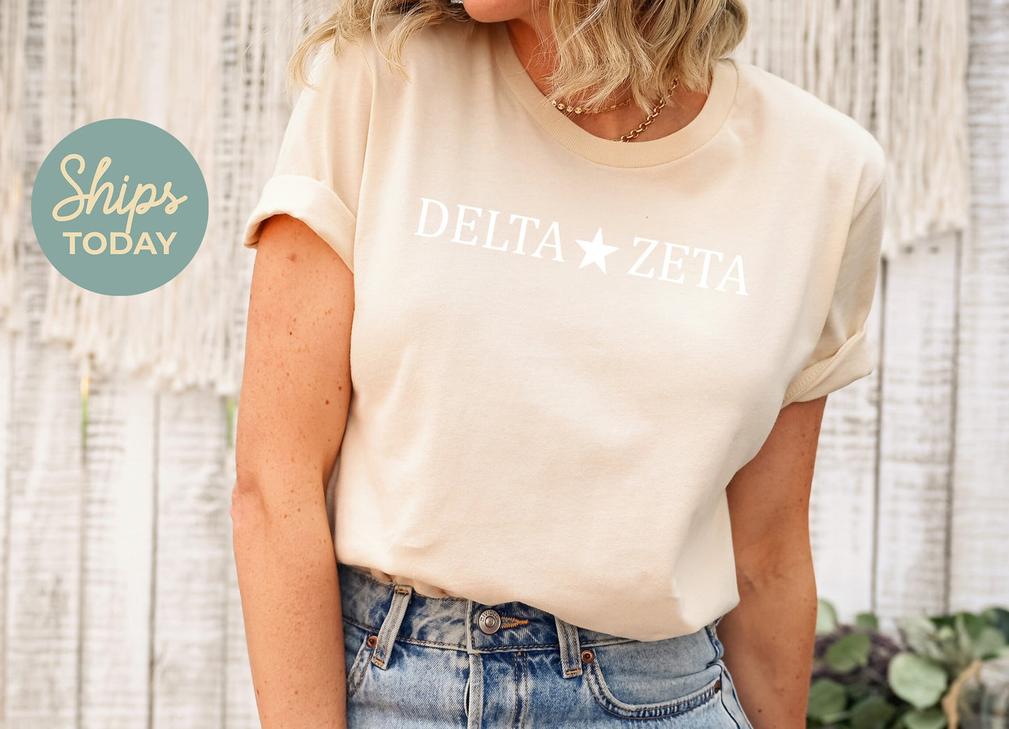 Delta Zeta White Star Sorority T-shirt _ 2199g