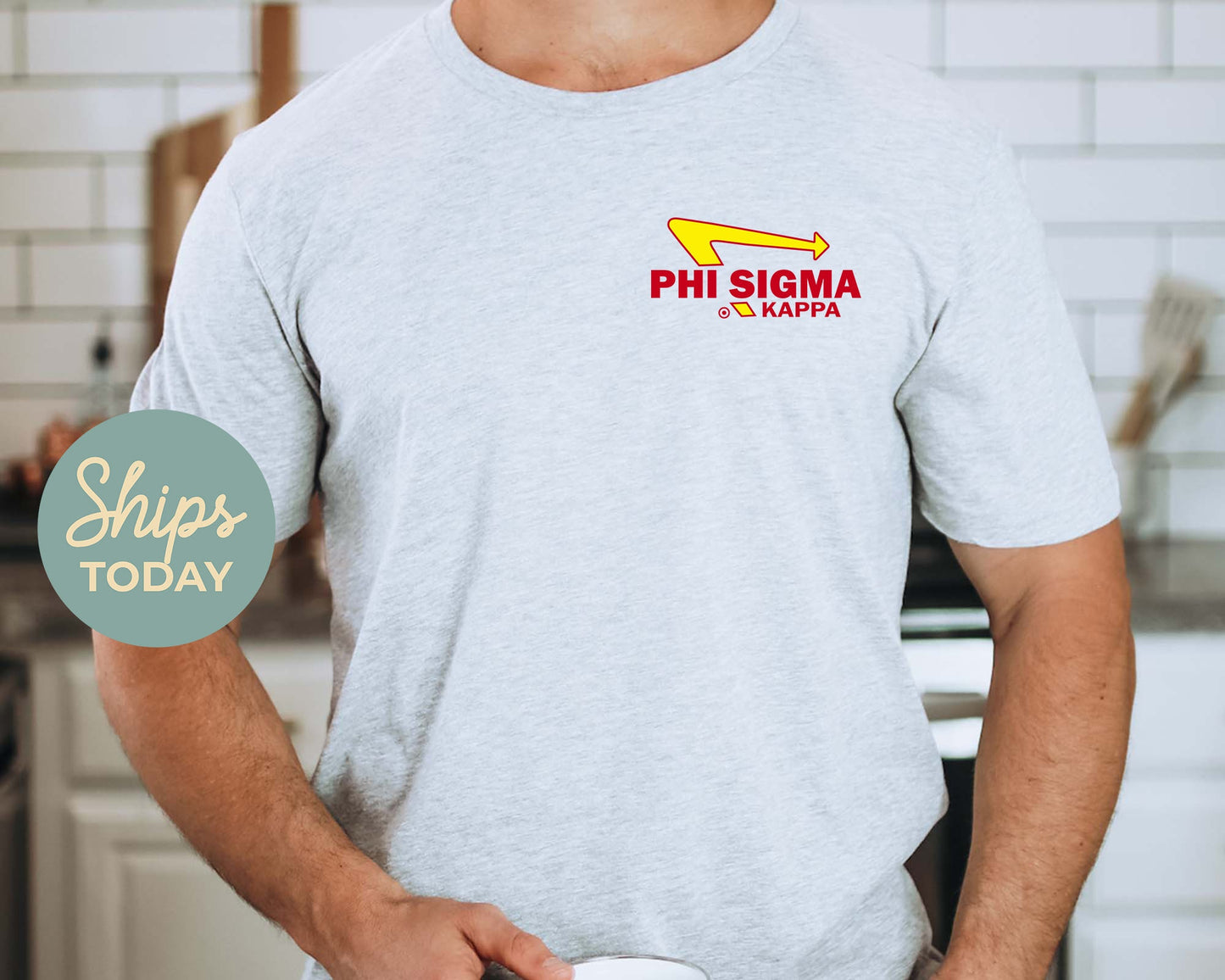 Phi Sigma Kappa Vintage Retro Fraternity T-shirt _ 32644g
