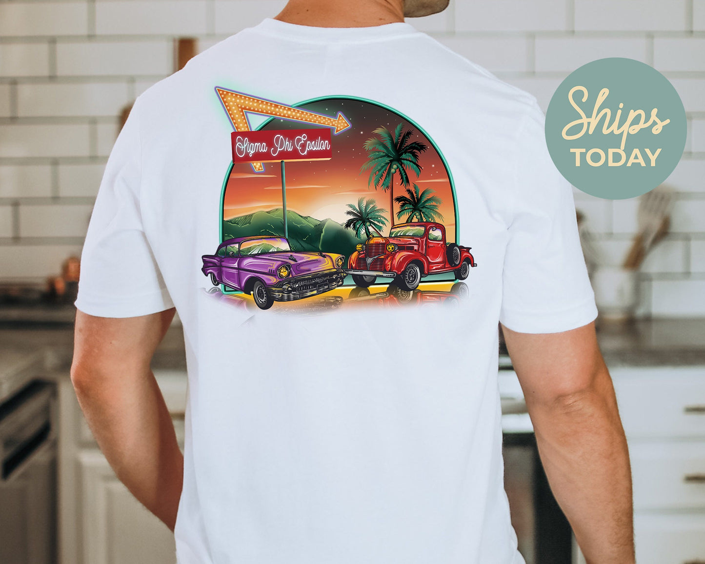 Sigma Phi Epsilon Vintage Retro Fraternity T-shirt _ 32651g