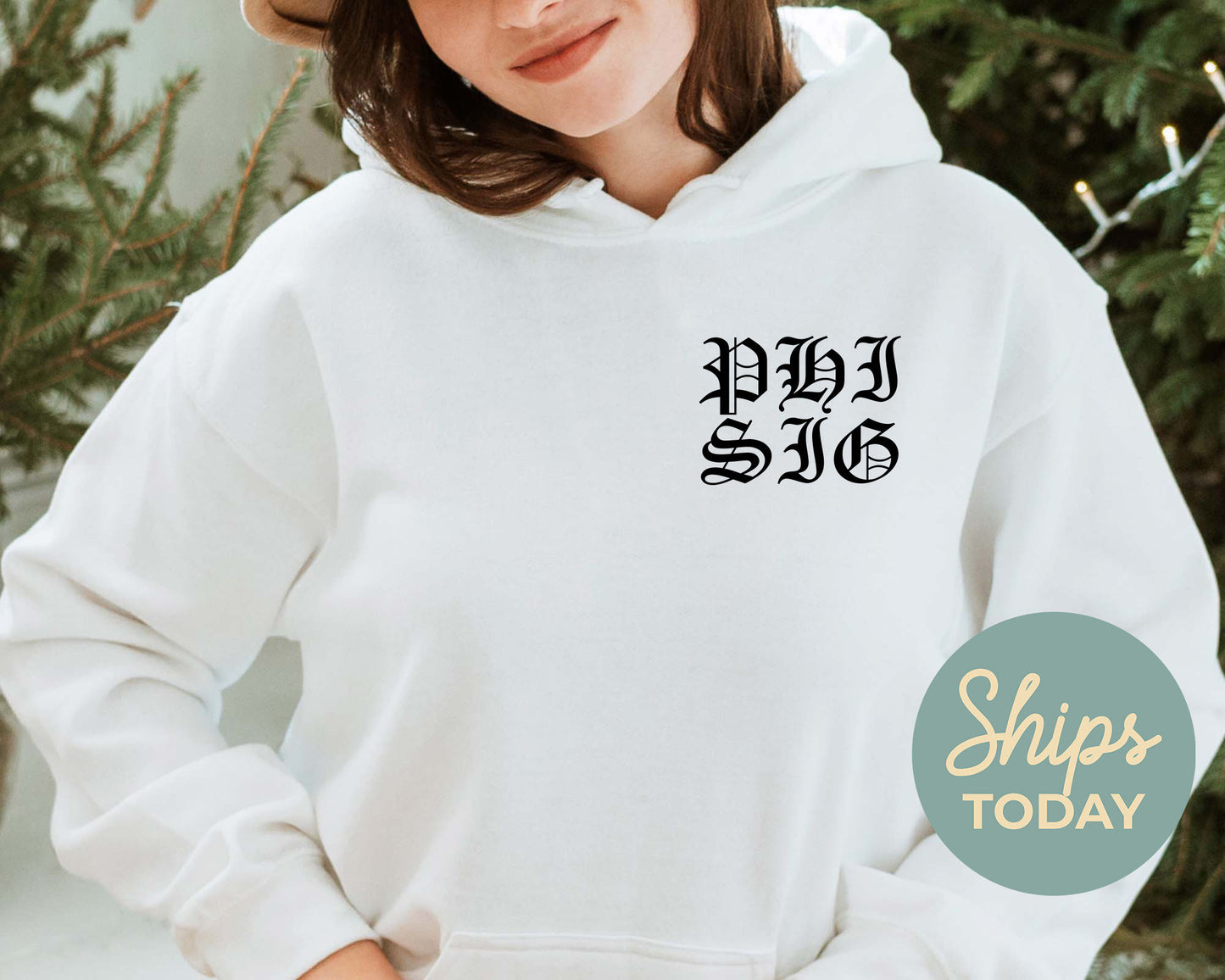 Phi Sigma Sigma Old English Crest Sorority Hoodie _ 32939g