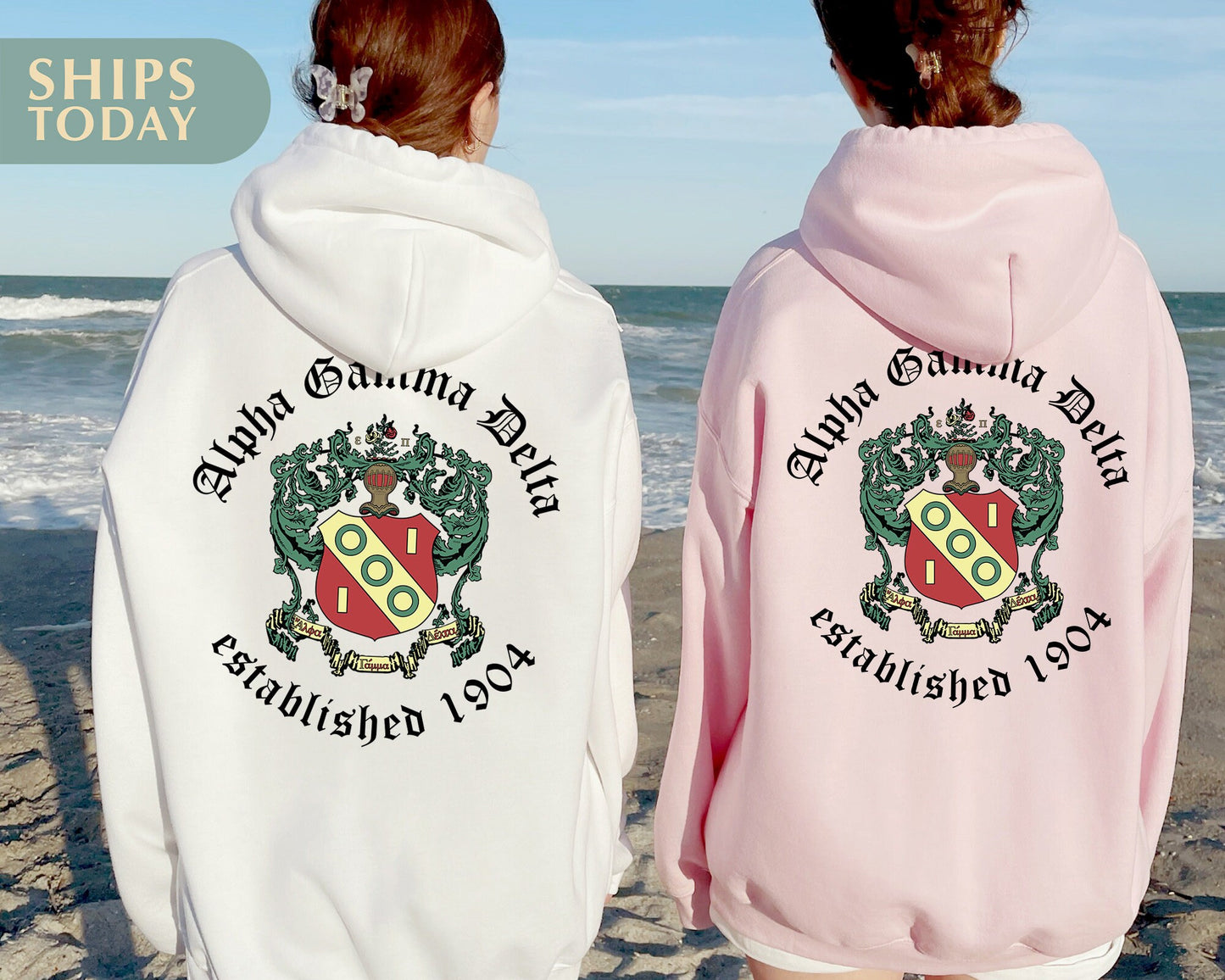 Alpha Gamma Delta Old English Crest Sorority Hoodie _ 32923g