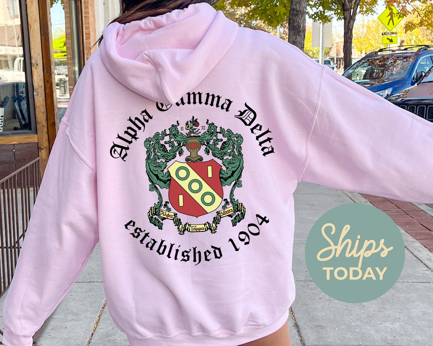 Alpha Gamma Delta Old English Crest Sorority Hoodie _ 32923g