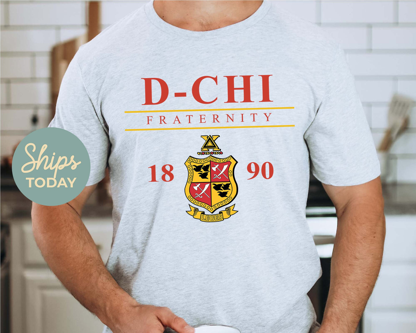 Delta Chi Iconic Crest Fraternity T-shirt _ 31124g