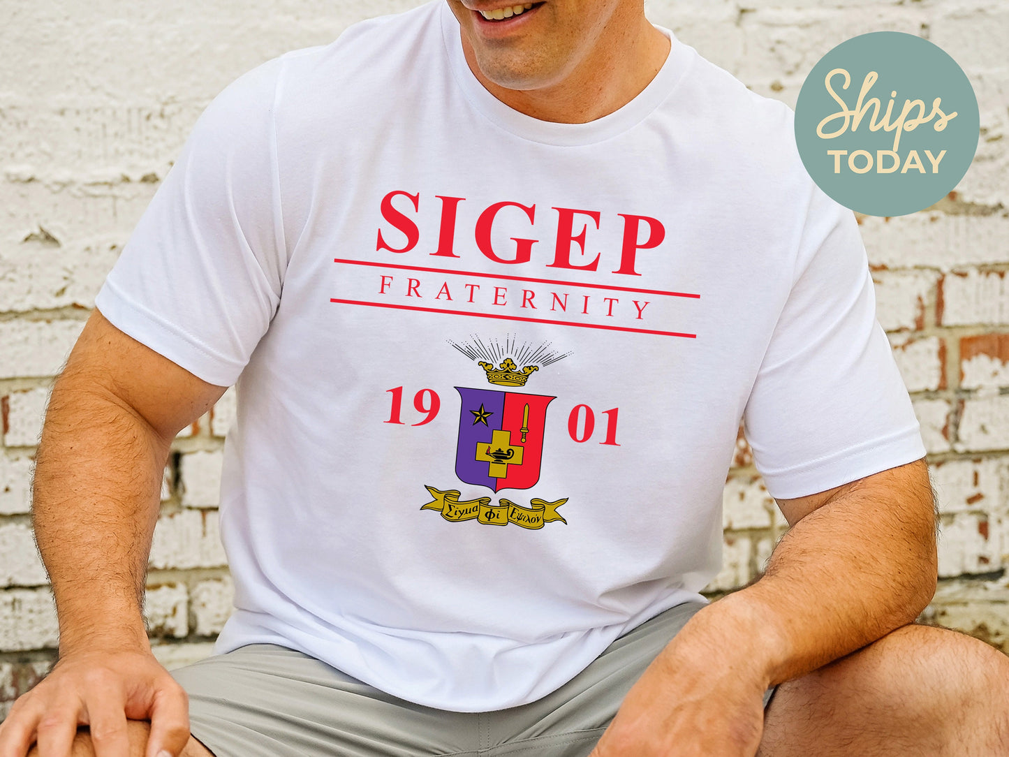 Sigma Phi Epsilon Iconic Crest Fraternity T-shirt _ 31142g