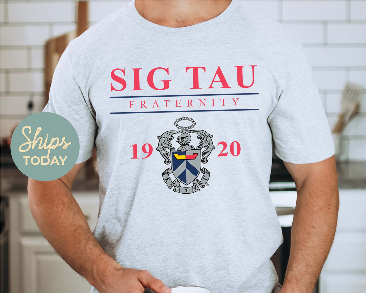Sigma Tau Gamma Iconic Crest Fraternity T-shirt _ 31144g