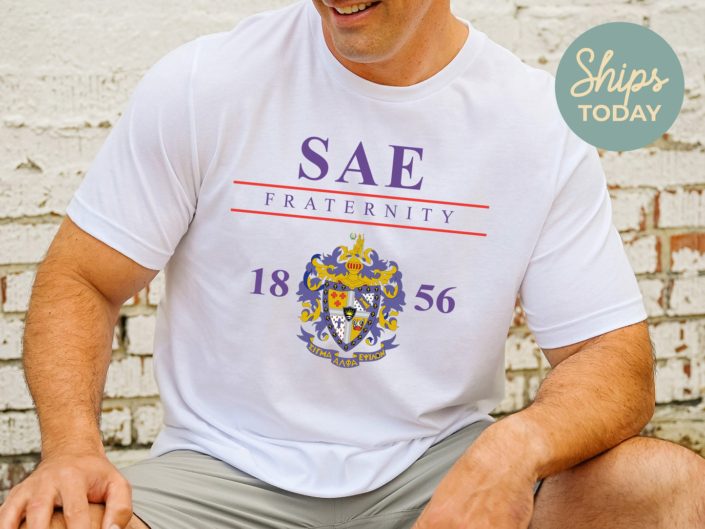 Sigma Alpha Epsilon Iconic Crest Fraternity T-shirt _ 31138g