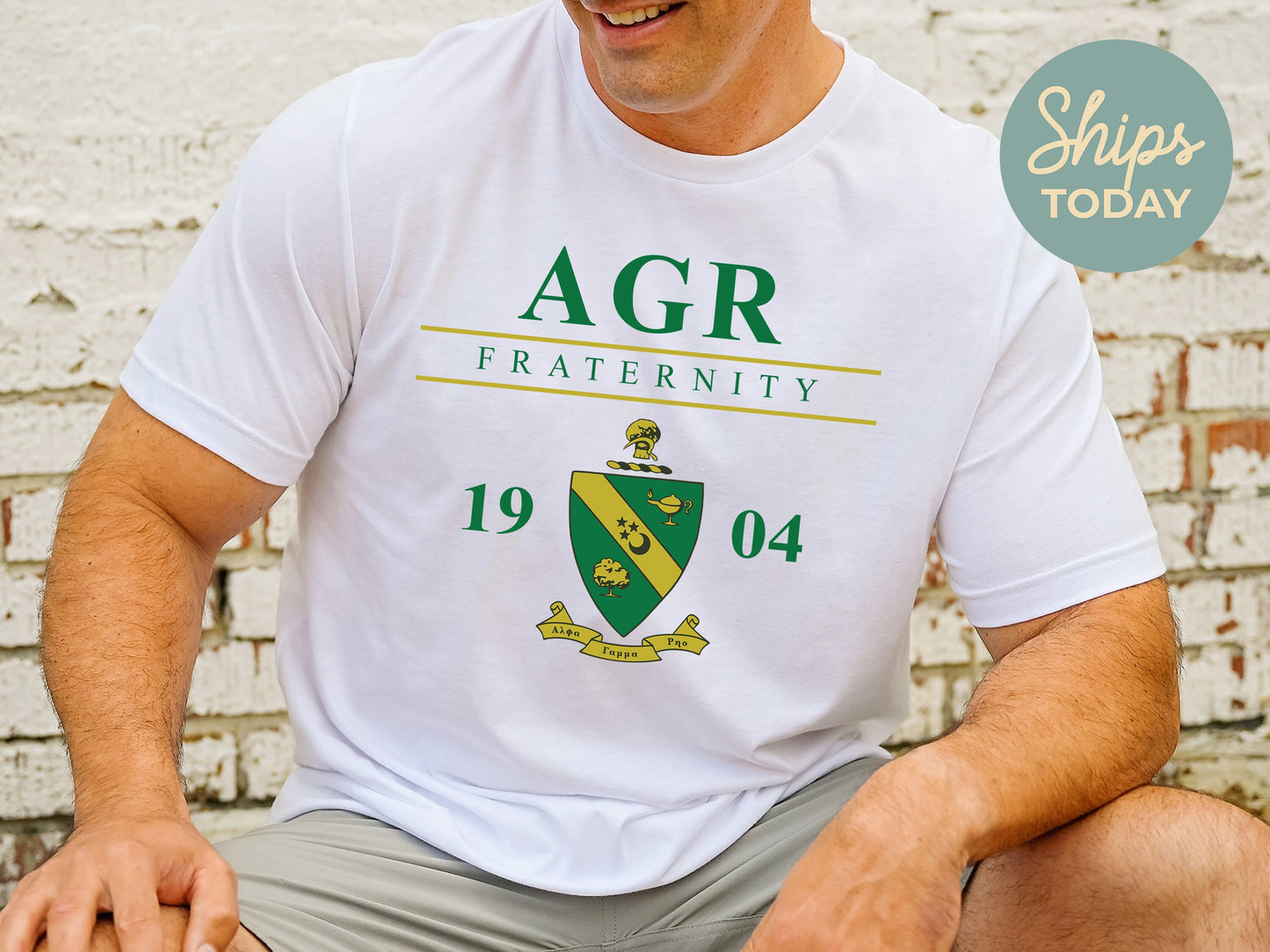 Alpha Gamma Rho Iconic Crest Fraternity T-shirt _ 31119g