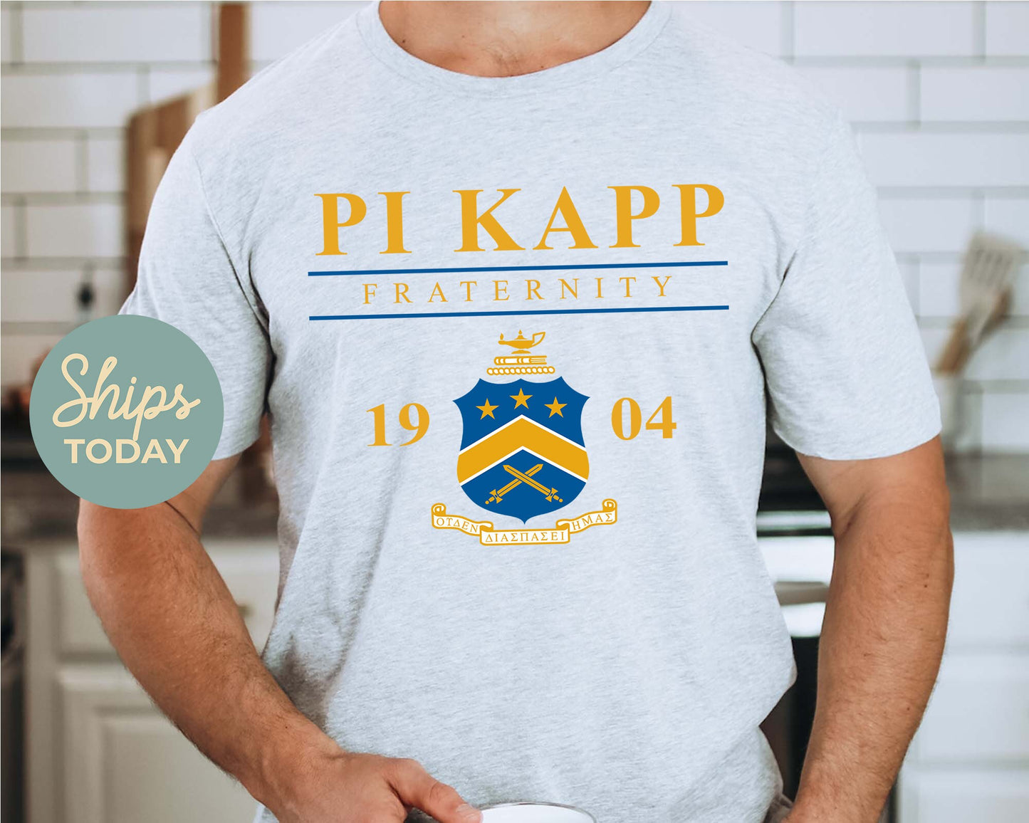 Pi Kappa Phi Iconic Crest Fraternity T-shirt _ 31137g