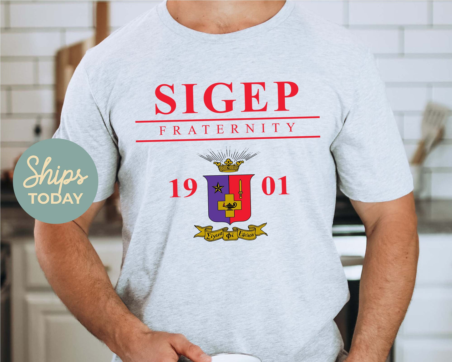 Sigma Phi Epsilon Iconic Crest Fraternity T-shirt _ 31142g