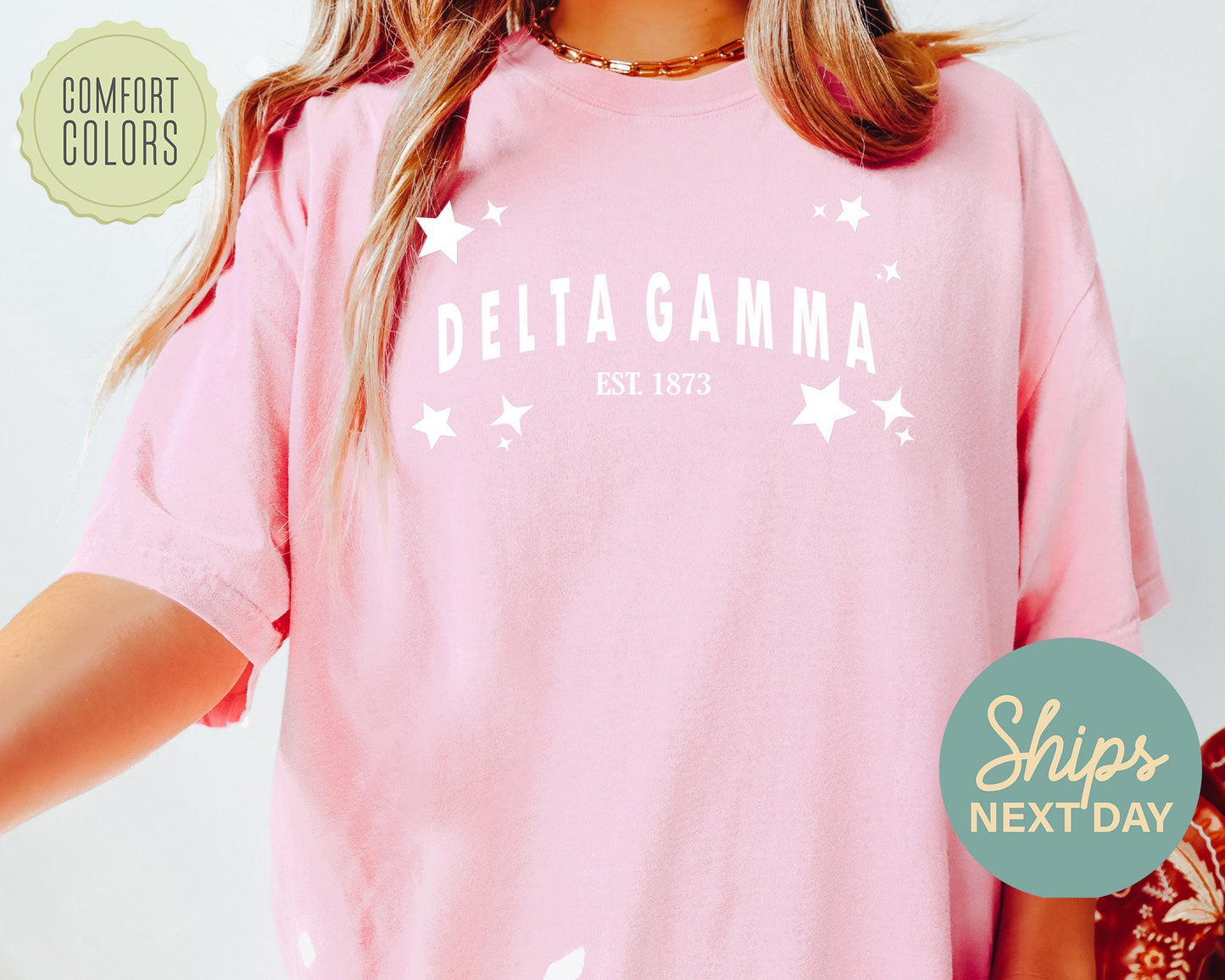 Delta Gamma Arched Star Comfort Colors Sorority T-shirt _ 2275g