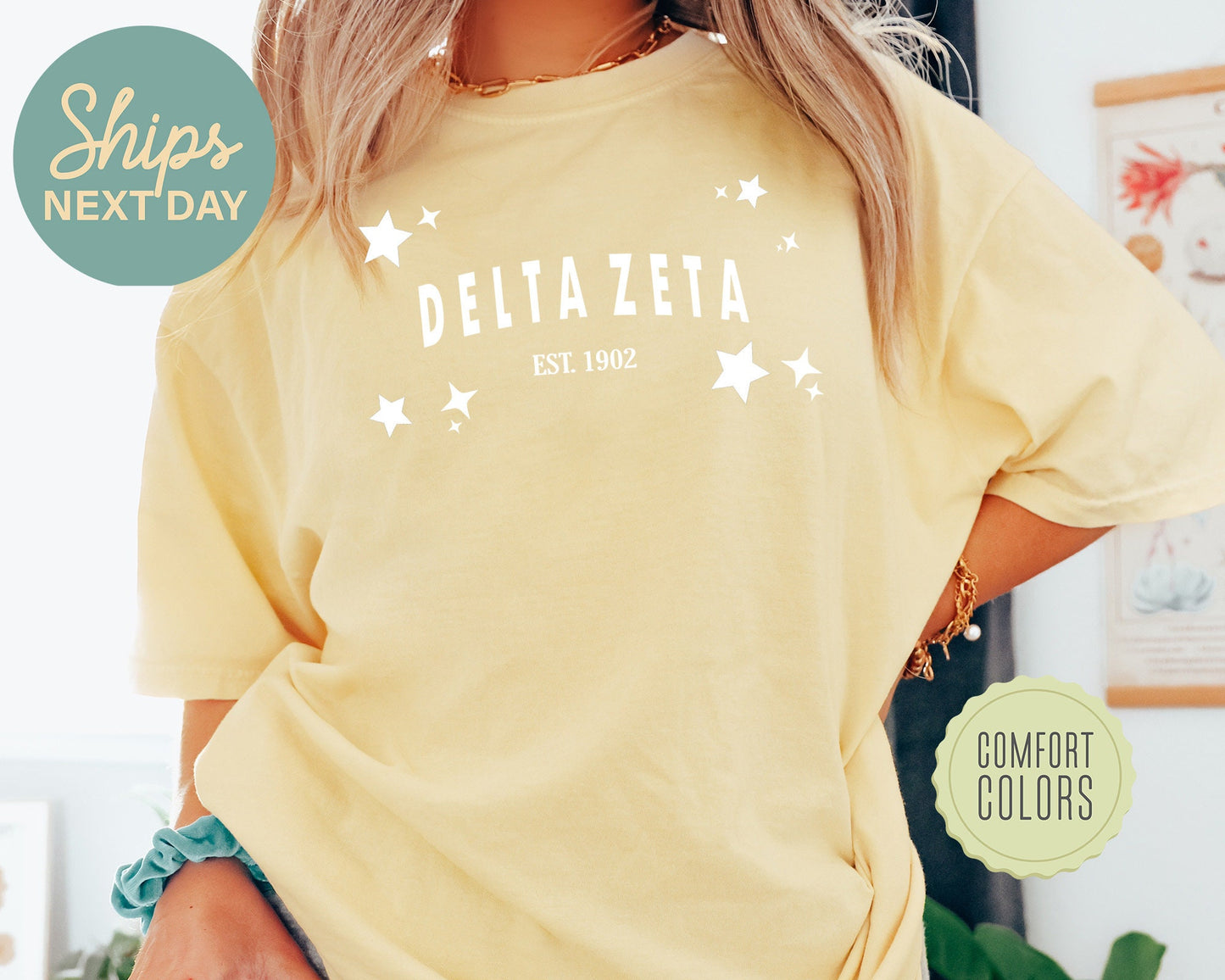 Delta Zeta Arched Star Comfort Colors Sorority T-shirt _ 2277g