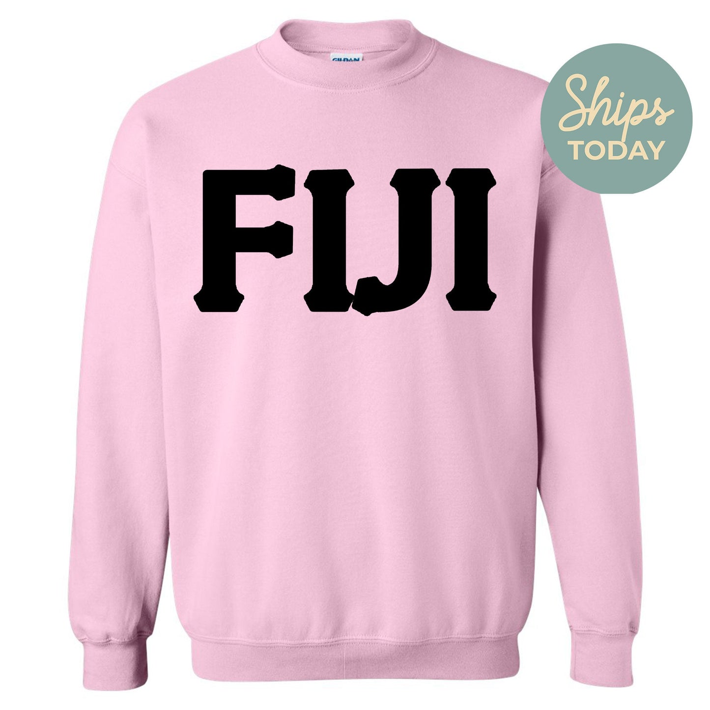 FIJI Black Letters Fraternity Sweatshirt _ 34917g