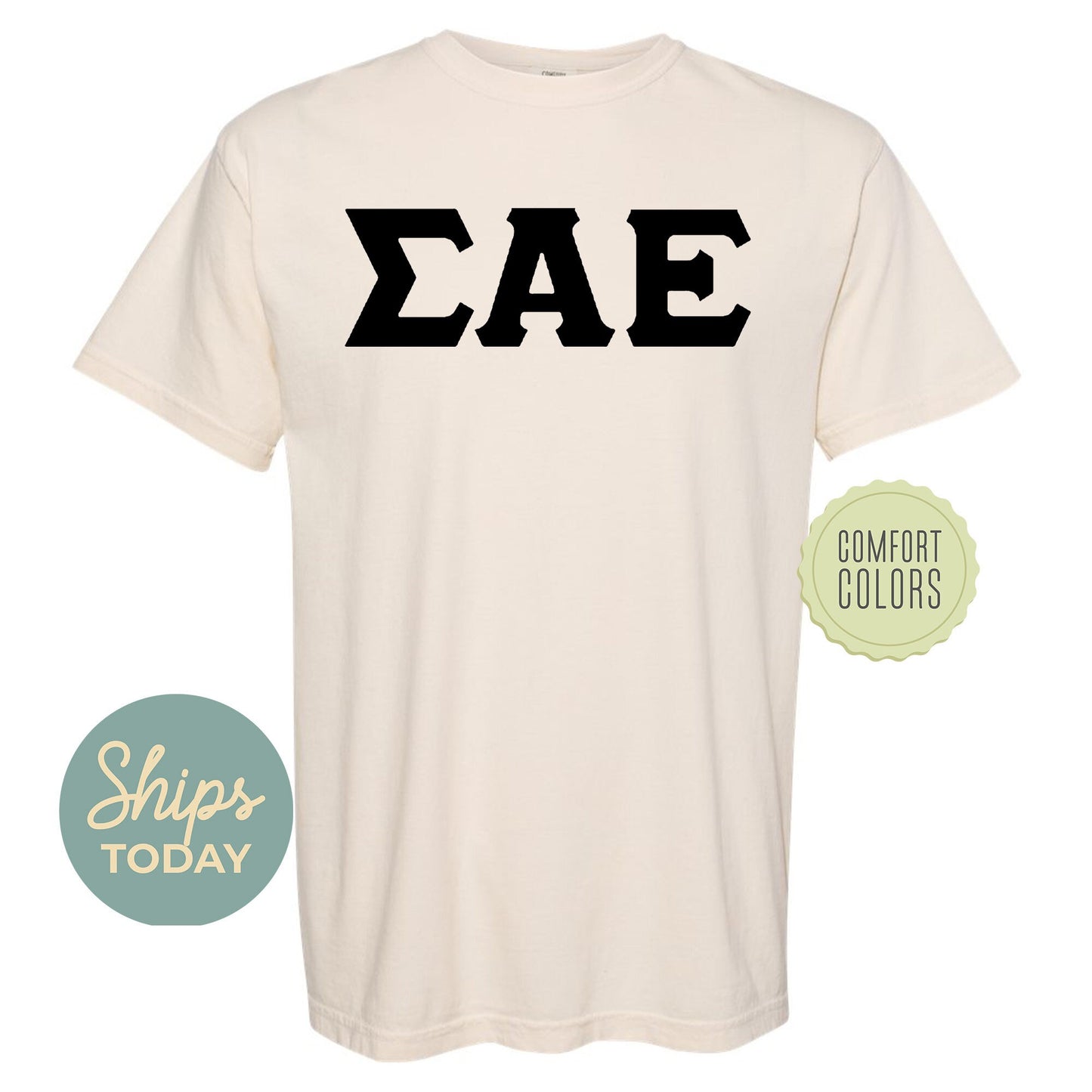 Sigma Alpha Epsilon Black Letters Comfort Colors Farternity T-shirt _ 34927g