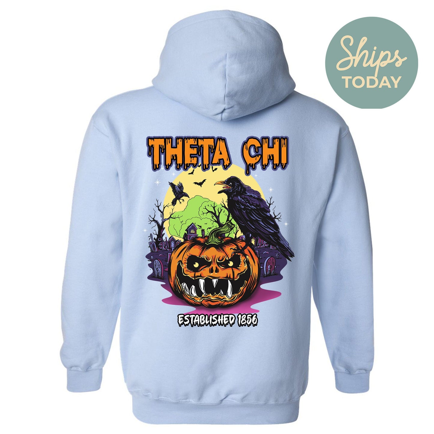 Theta Chi Halloween Bats Fraternity Hoodie _ 36280g