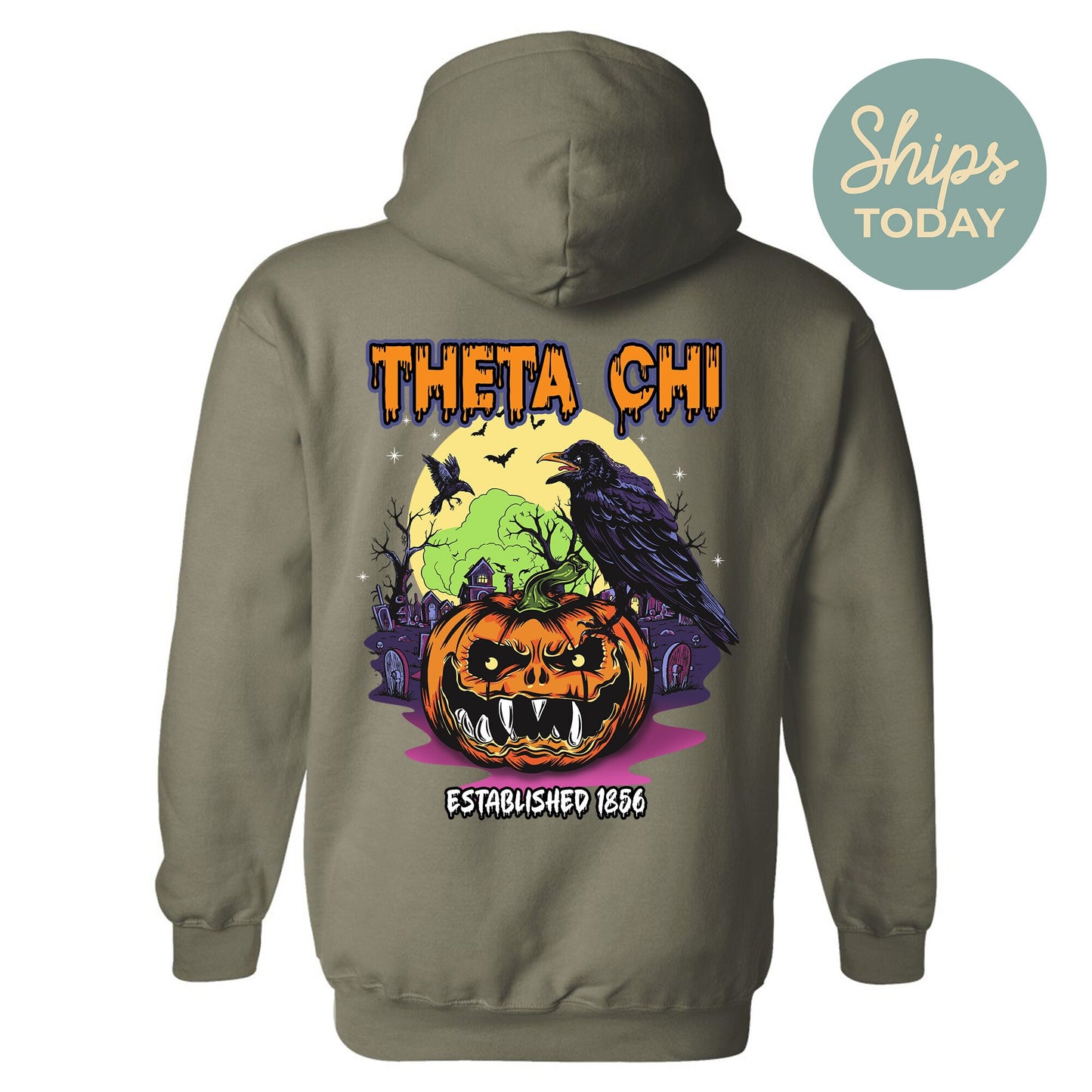 Theta Chi Halloween Bats Fraternity Hoodie _ 36280g