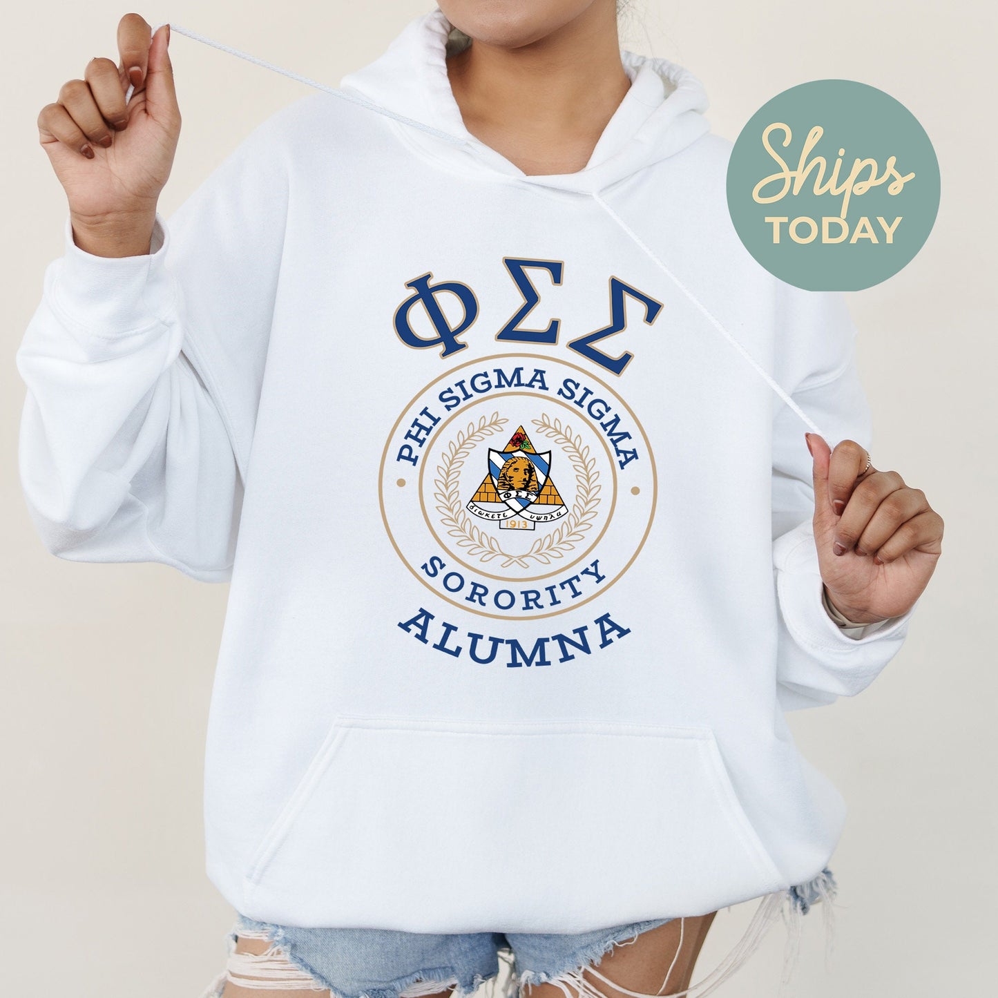 Phi Sigma Sigma Alumna Vintage Sorority Hoodie _ 31028g