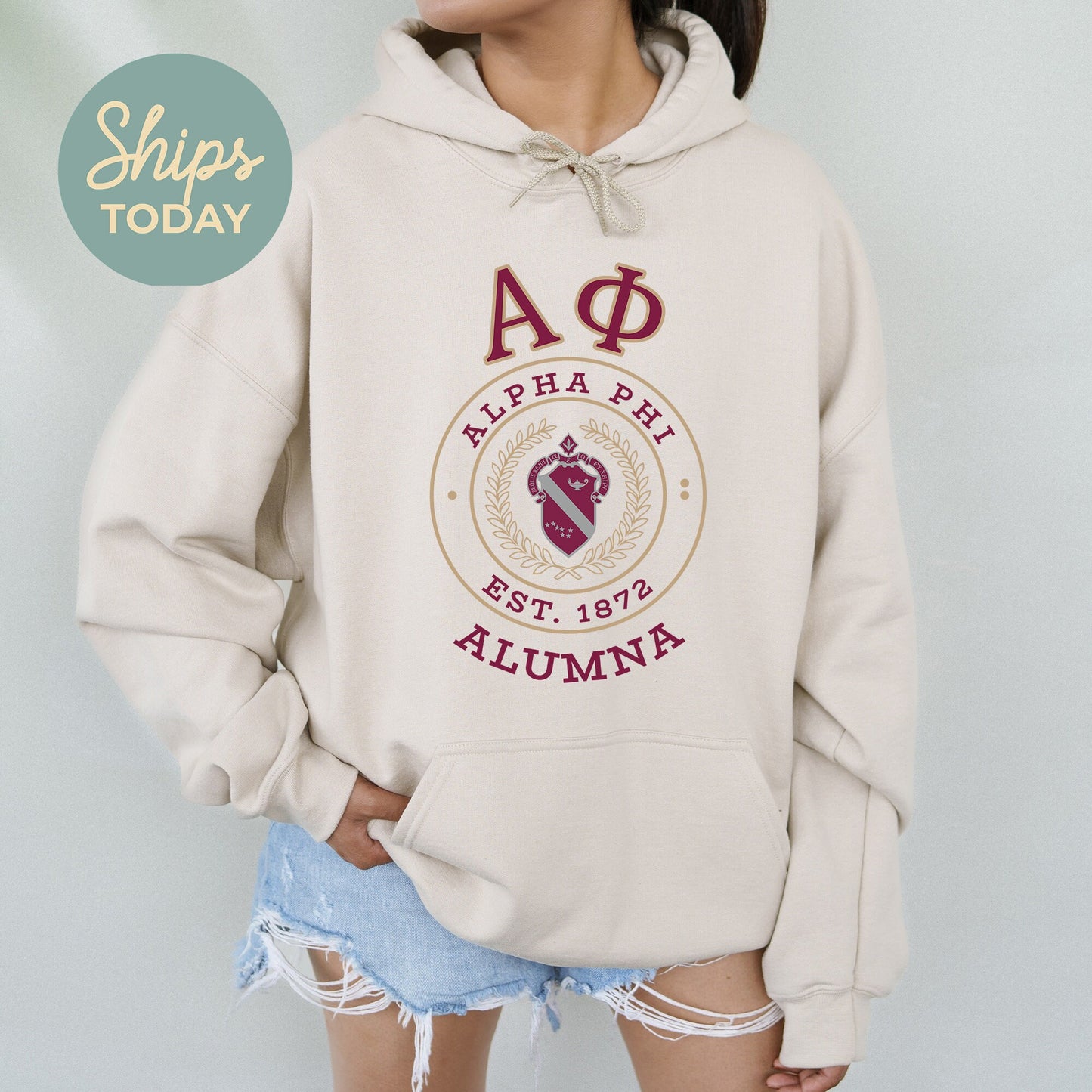 Alpha Phi Alumna Vintage Sorority Hoodie _ 31014g