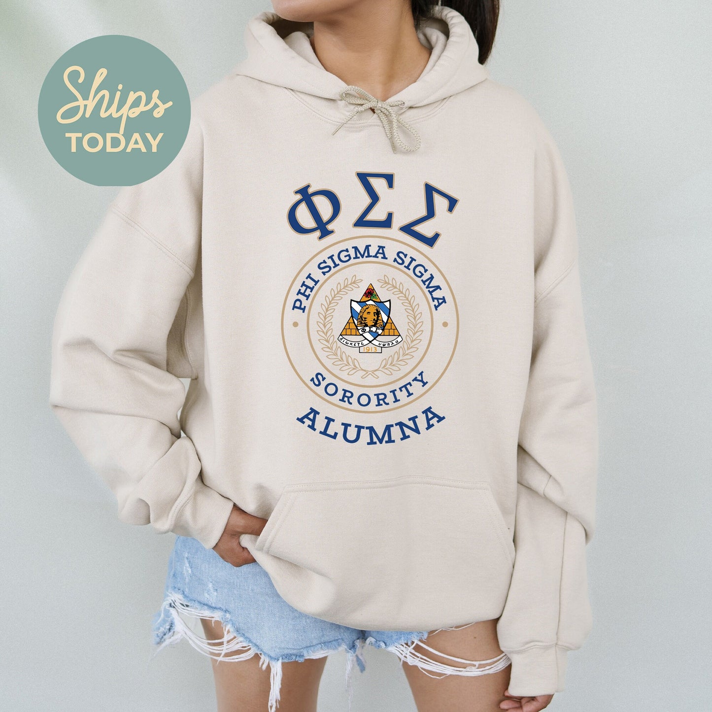 Phi Sigma Sigma Alumna Vintage Sorority Hoodie _ 31028g