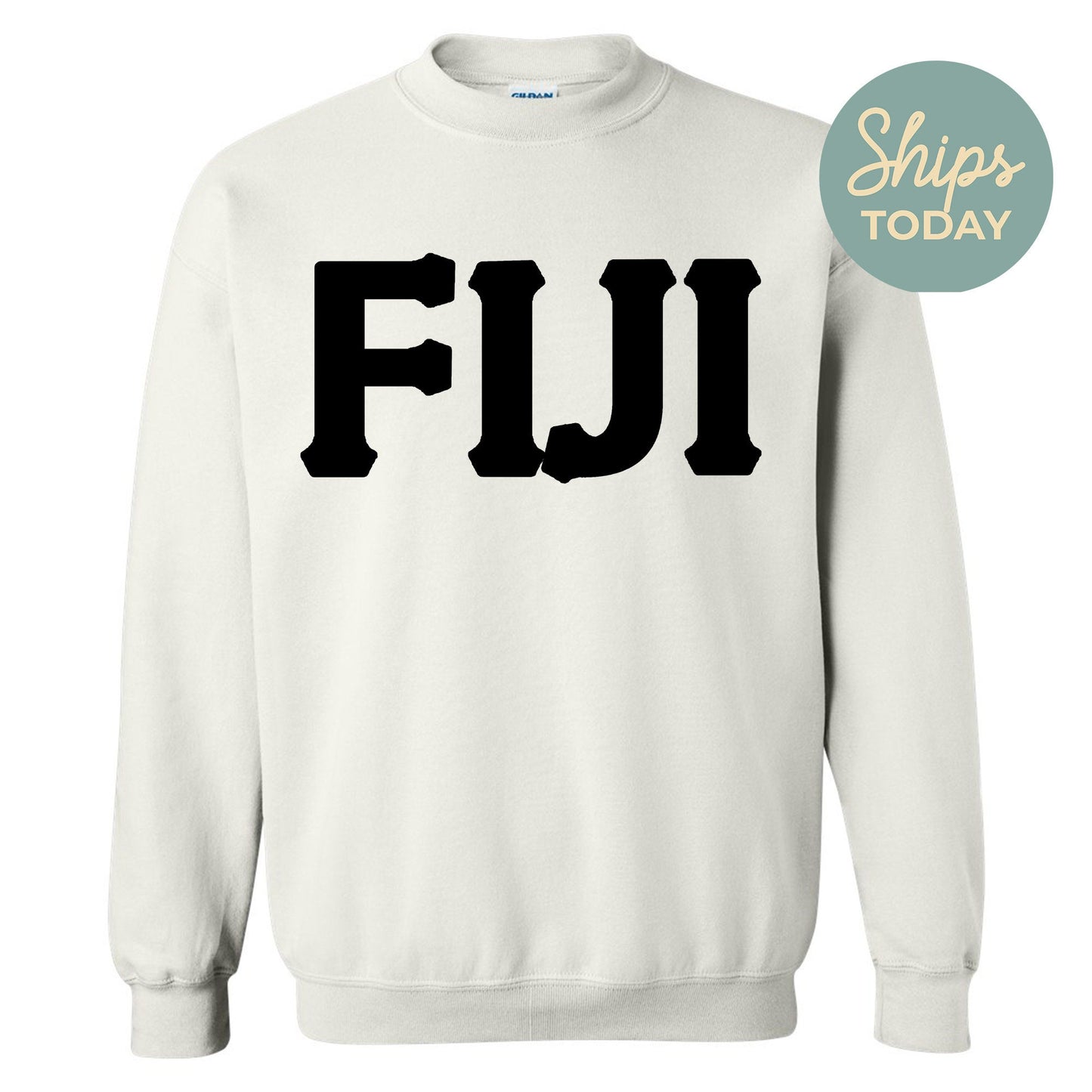 FIJI Black Letters Fraternity Sweatshirt _ 34917g