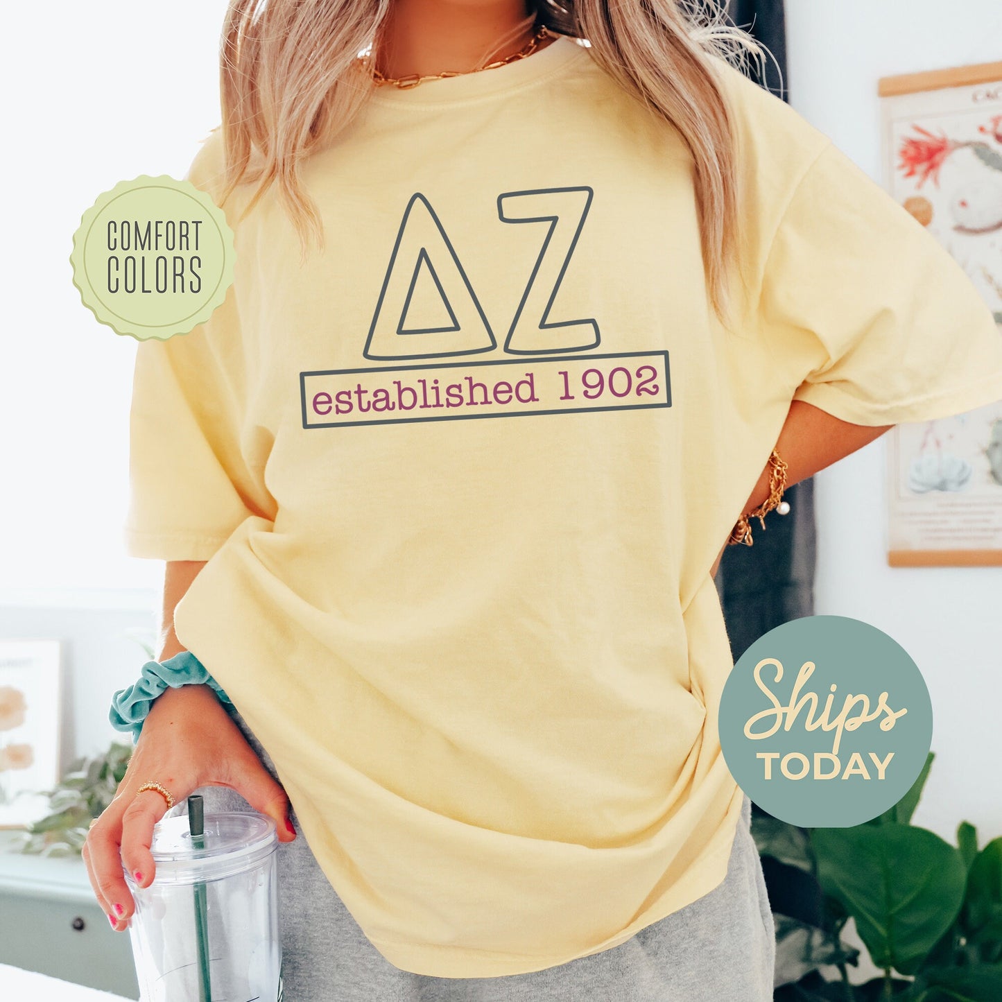 Delta Zeta Simply Greek Comfort Colors Sorority T-shirt _ 39349g