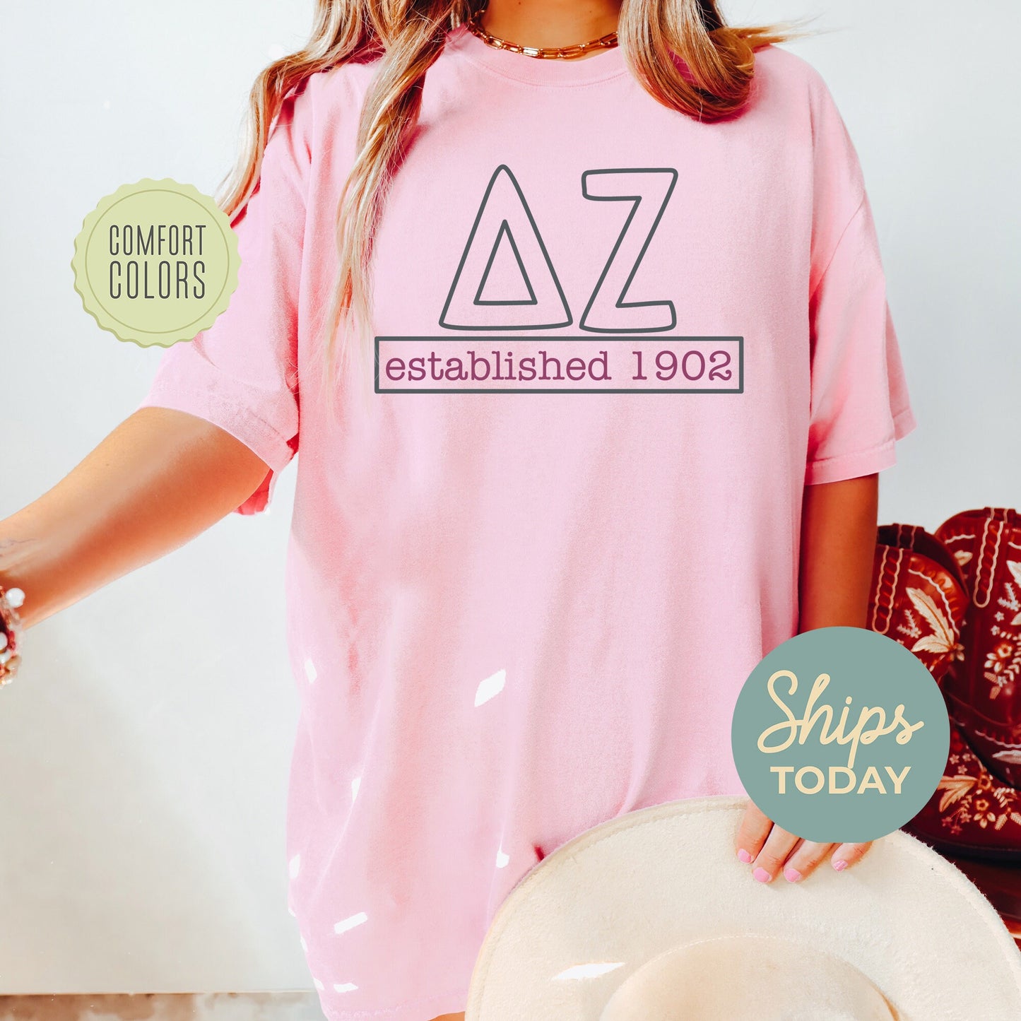 Delta Zeta Simply Greek Comfort Colors Sorority T-shirt _ 39349g